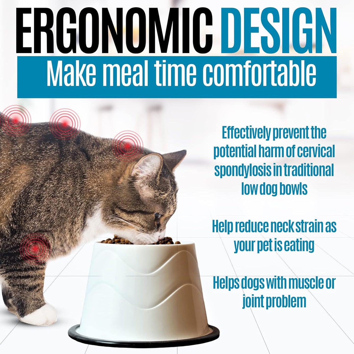 No Slip Base Elevated Bowls for Small Dogs and Cats Wearing Cone - Raised Bowls for Dogs and Cats - 2 Pair