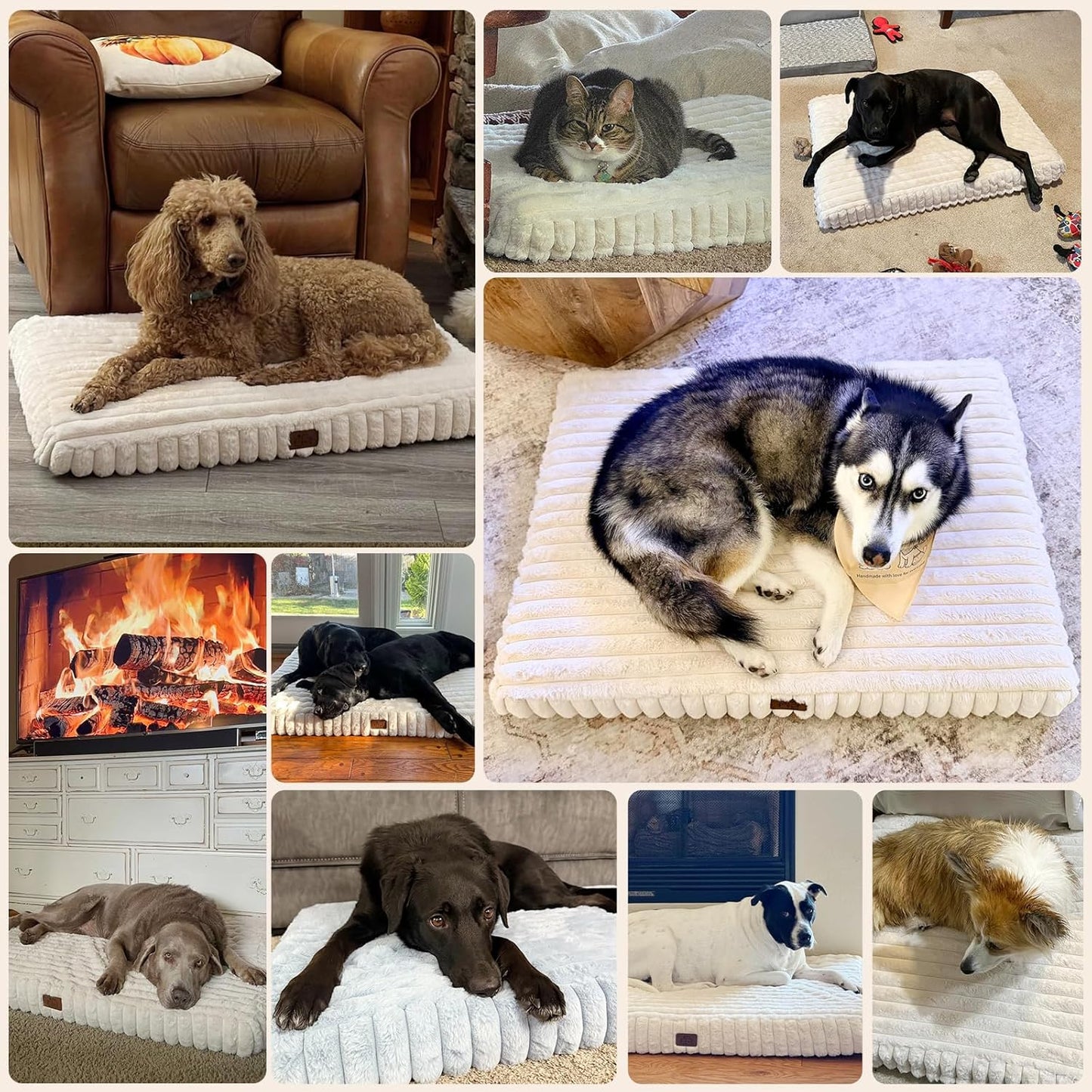 Orthopedic Dog Bed for Large Dog, Waterproof Pet Bed,Non-Slip Bottom and Egg-Crate Foam with Removable Washable Cover Crate Bed,Cream,36"x27"x3"