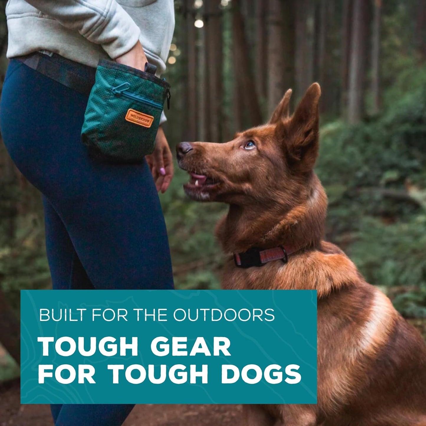 Wilderdog Dog Training Treat Pouch with Magnetic and Zipper Closure, Carabiner Attached, Adjustable Waist Strap - Green