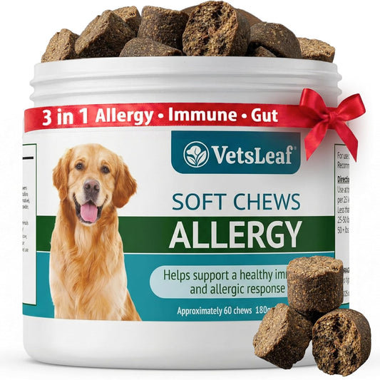 Allergy Relief Dog Chews – Quercetin, Turmeric, Ashwagandha, Probiotics & Colostrum – Seasonal Allergy, Immune & Digestive Support – for Itchy Skin & Hot Spots – All Breeds & Sizes