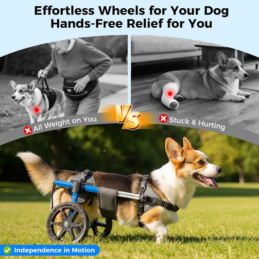 Dog Wheelchair for Back Legs – Adjustable Dog Wheelchair, Aluminum Frame with Padded Harness, All-Terrain Wheels for Medium Dogs, Corgi Dachshund Mobility Support Cart for Back Legs