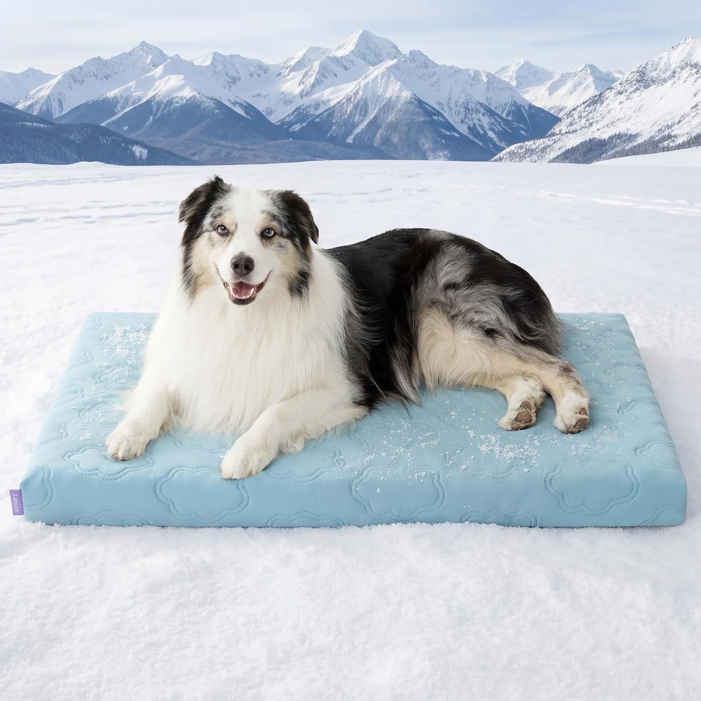 LE SURE Orthopedic Cooling Dog Bed, XL Q-Max>0.5 Cooling Mat with Removable Washable Cover, Breathable Egg Crate Foam Non-Slip Summer Pad for Extra Large Active/Senior/Long-Haired Pets, 41x27 Inch