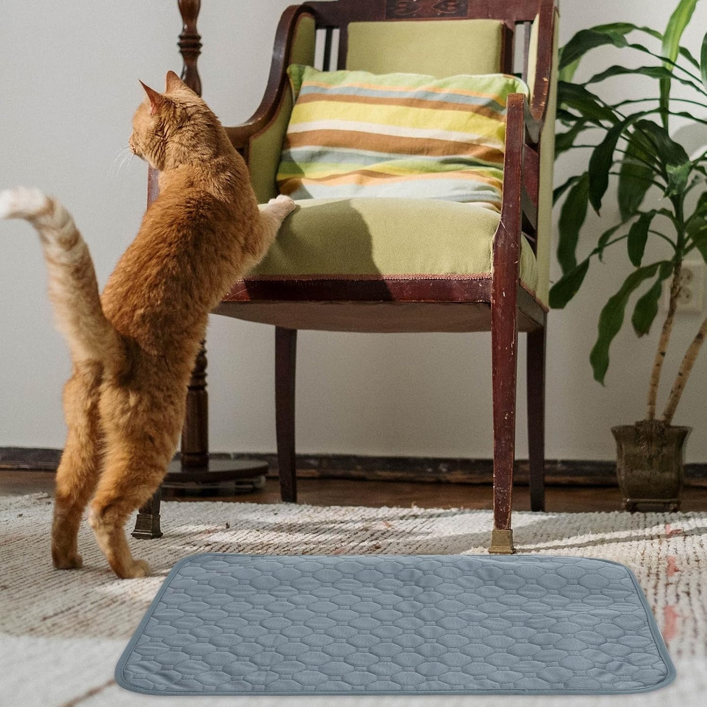 Pet Cooling Mat and Dog Urine Pad, Multipurpose Anti-Slip Absorbent Washable Cushion, Small Size for Indoor Summer Use