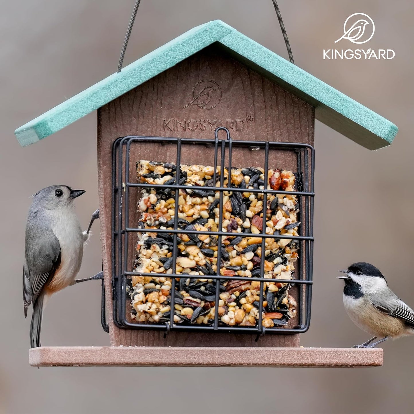 Kingsyard Recycled Plastic Double Suet Feeder with Rainproof Roof & Perch, Cage Suet Bird Feeders for Outdoors Hanging, Great for Woodpecker, Chickadee, Nuthatch (Green)