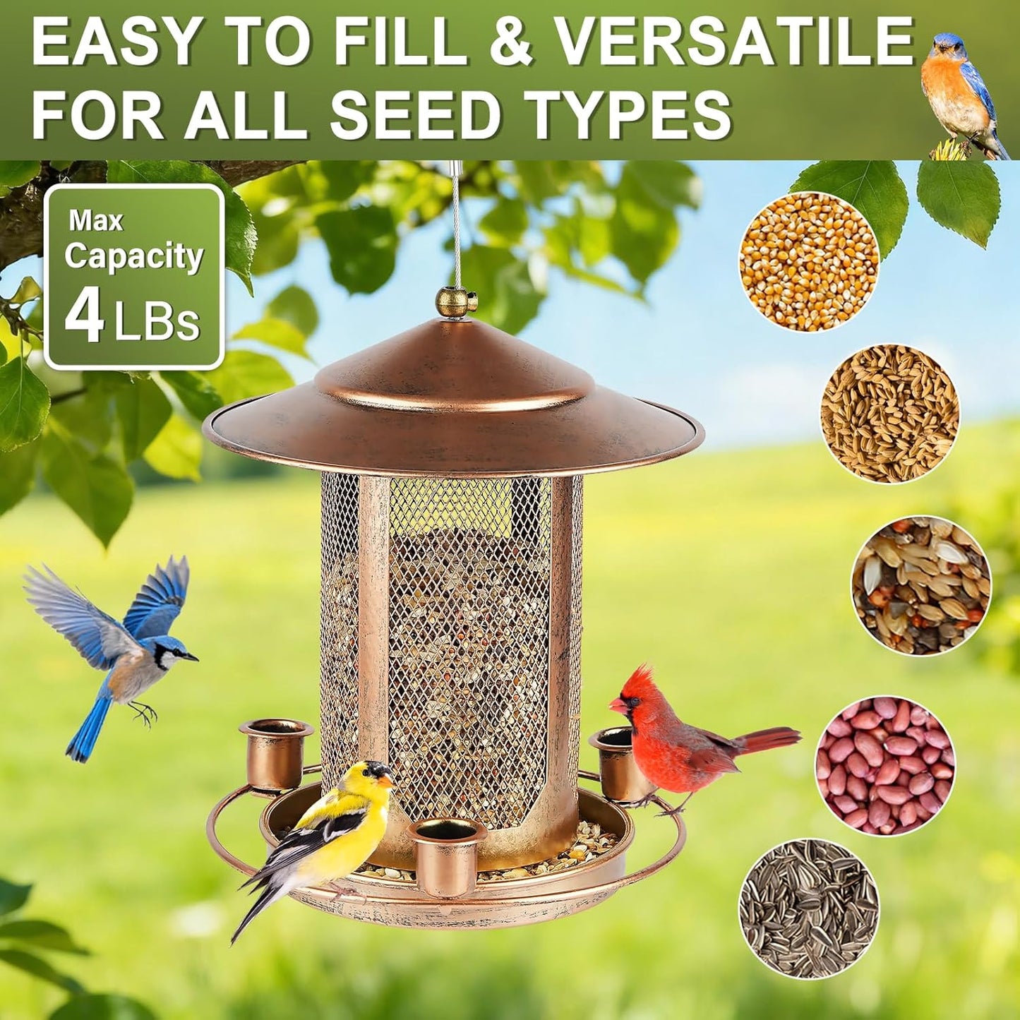 Bird Feeder,Heavy Duty Bird Feeders for Outdoors, Metal Squirrel Proof with 3 Extra Feeding Ports,4 LB Large Capacity Wild Birdfeeder for Outside Hanging Garden Yard Backyard