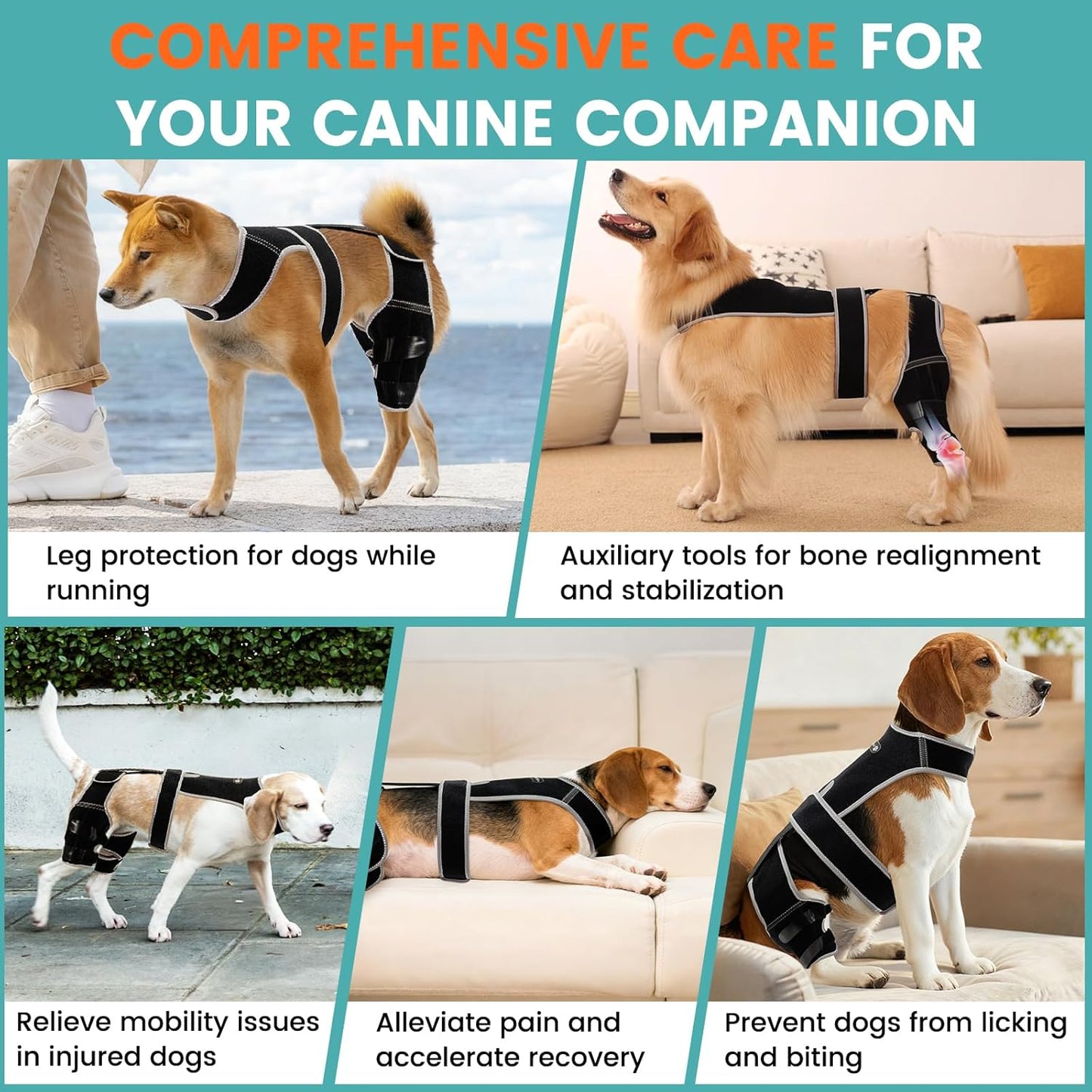 Adjustable Dog Knee Brace for Hind Leg - Double Leg Orthopedic Support with 4 Metal Stabilizers, Vest Design Dog Leg Brace for ACL/CCL Tear, Luxating Patella, Arthritis & Post-Surgery Rehab (L)