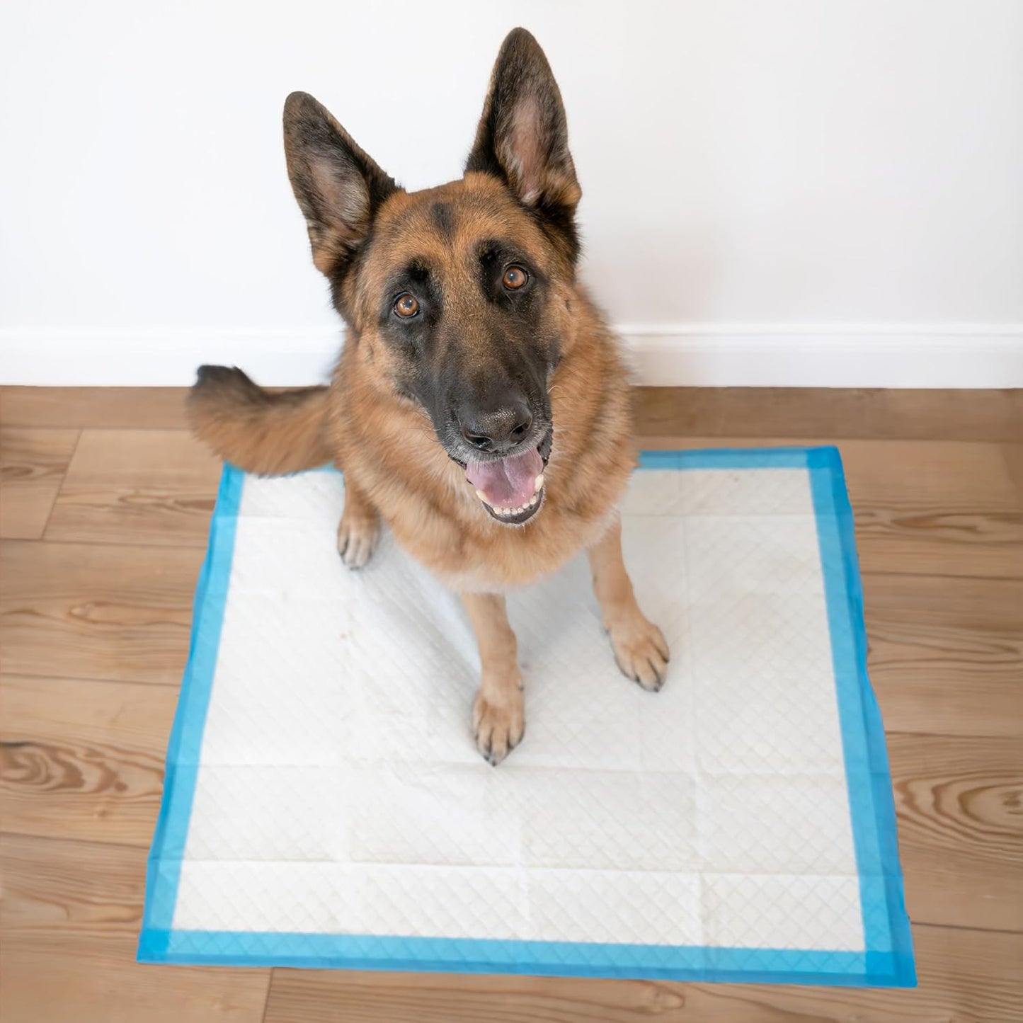 Four Paws Wee-Wee Superior Performance Unscented Extra-Large Pee Pads for Dogs & Puppies, Quilted Leak-Proof Dog Housebreaking Potty Training Floor Protection, 28" x 34", 200 Count