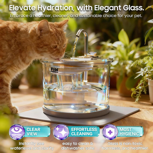 Glass Cat Dog Water Fountain 70oz/2.1L for Cats Dogs with 3 Spray Heads with LED Light,Ultra-Quiet, Automatic Water Dispenser, Glass & Stainless (Water Fountain)