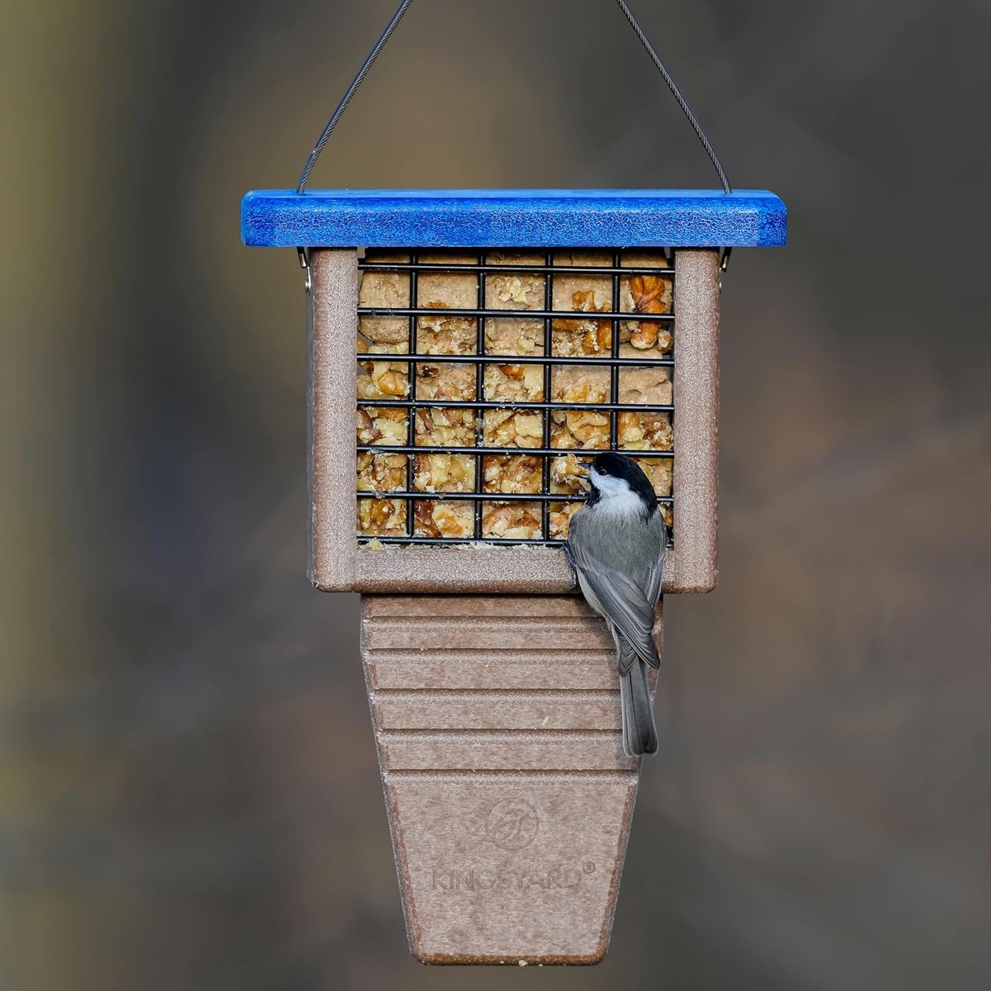 Kingsyard Recycled Plastic Suet Feeder, Tail Prop Suet Feeder for Outside Hanging, Sturdy & Durable, Great for Woodpecker & Clinging Birds, Green