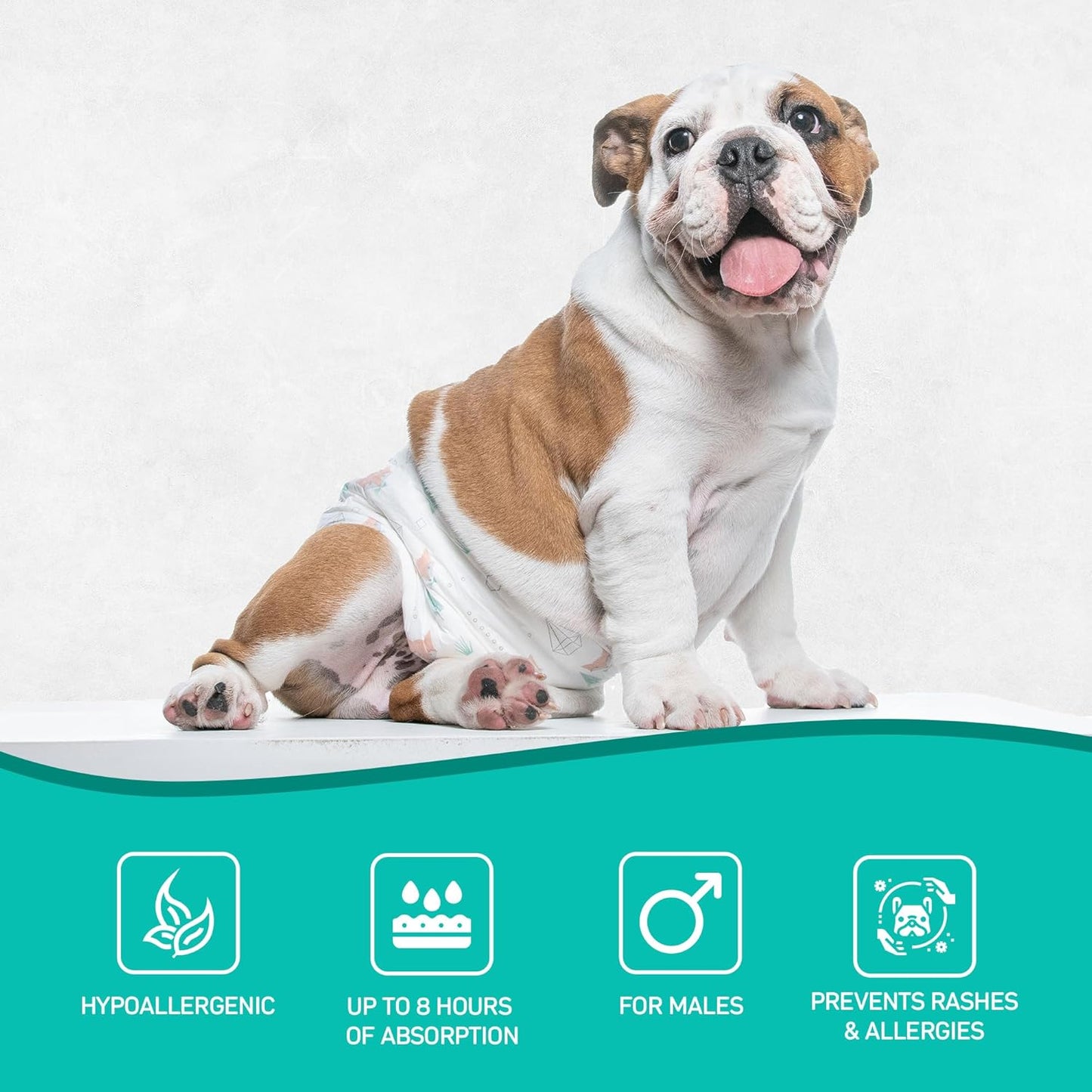 Dog´s Care – Disposable Hygienic Diaper for Male Dogs – Ultra-Absorbent, Comfortable – 6 to 8 Hours Protection – Size S – 13 to 21 inches – 48 Units