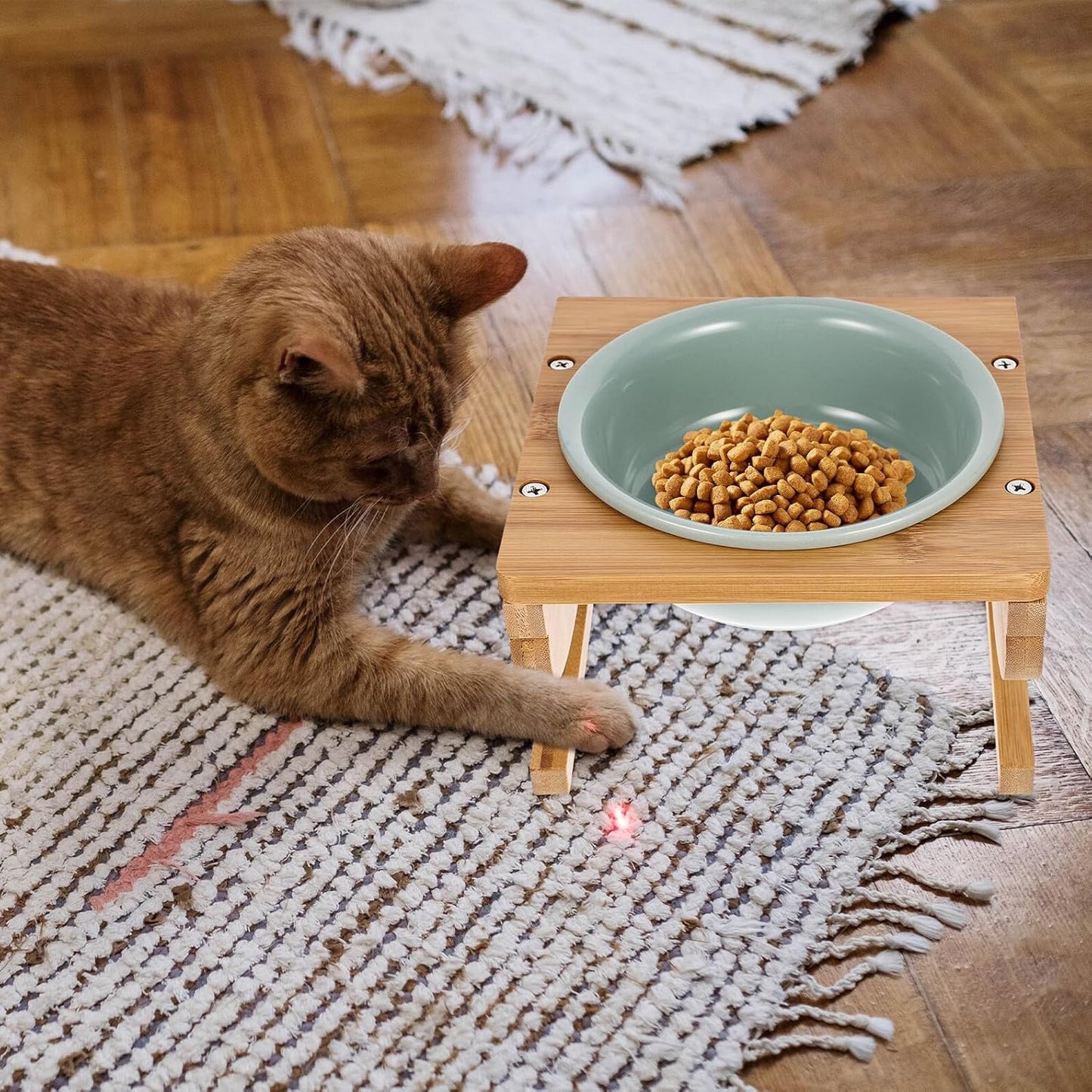 Milisten Ceramic Elevated Cat Bowl with Stand 15cm 600ml Whisker-Friendly Feeding Dish for Household Cats Indoor Pet Food Bowl