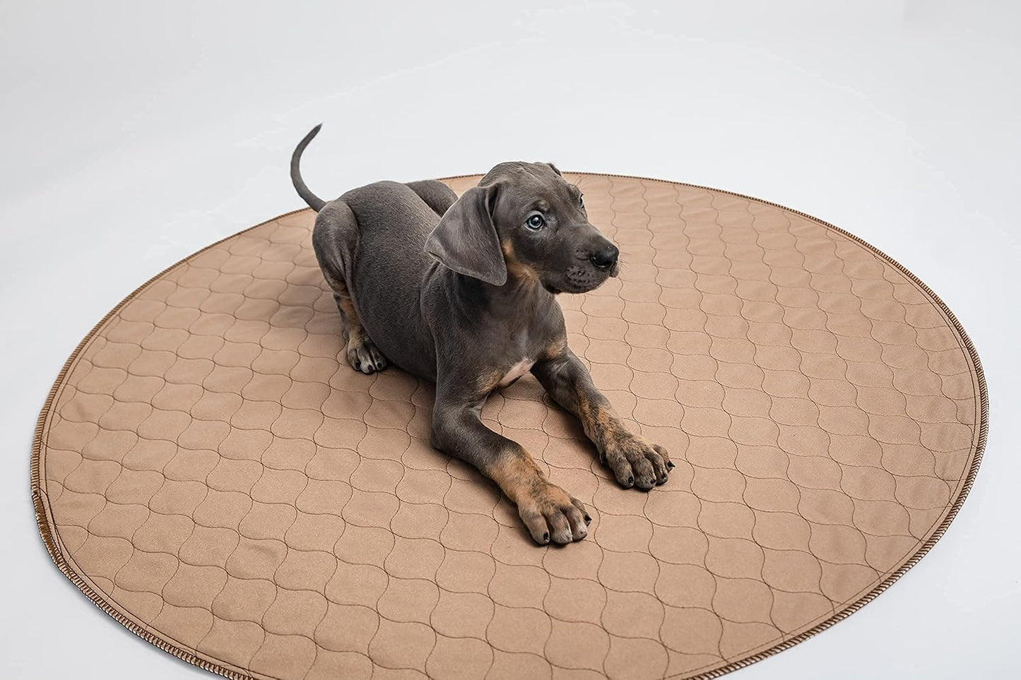 EZwhelp Reusable Dog Pee Pad, Washable Waterproof Mat for Dog Potty Training or Whelping Pad, Round, 36 Inch