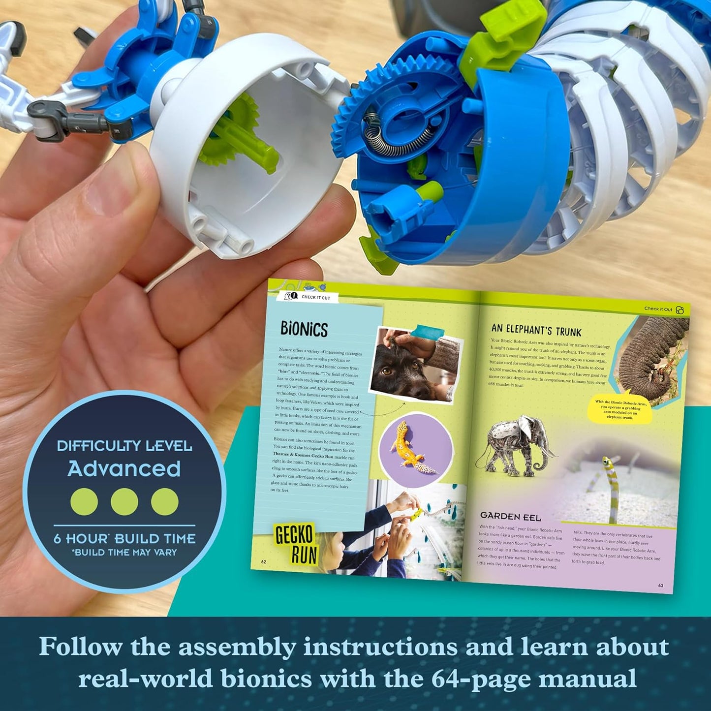 Thames & Kosmos Bionic Robotic Arm STEM Experiment Kit, Toy of The Year Finalist, Build a Mechanical Arm, No Batteries/Motors Required | Innovative System | Ages 10+ with Help, 14+ Independent Play