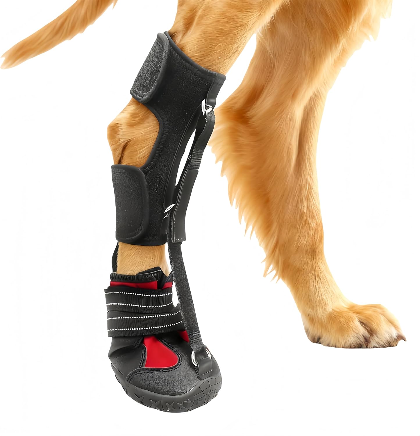 Dog Booties for Winter and Paw Protectors, Dog Brace for Acl Tear, Lift Toes for Foot Issues and Arthritis, Pet Corrector for Dogs (XL)