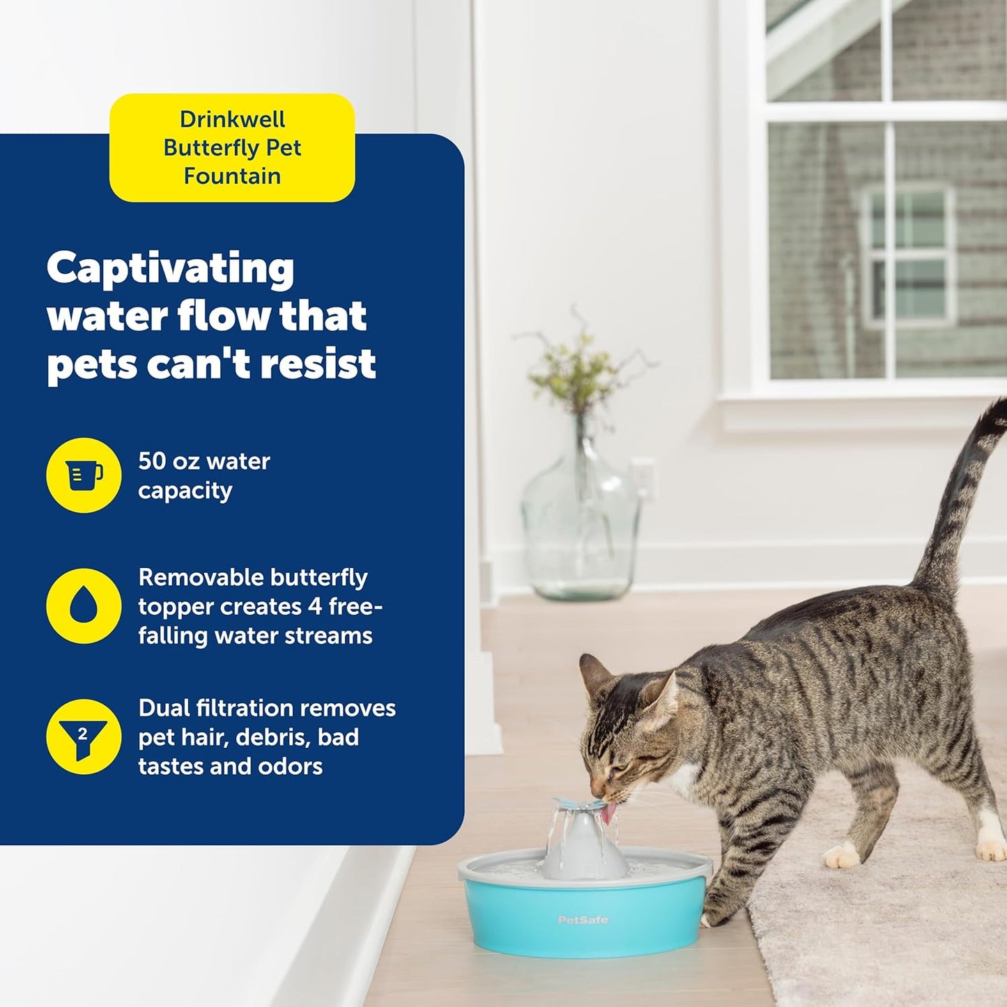 PetSafe Butterfly Cat Water Fountain with Pump & Filters - Cute Water Dispenser with 50 oz Capacity - Pump & Filters Keep Water Clean & Fresh - Filter Contains 2X More Carbon Than Other Brands