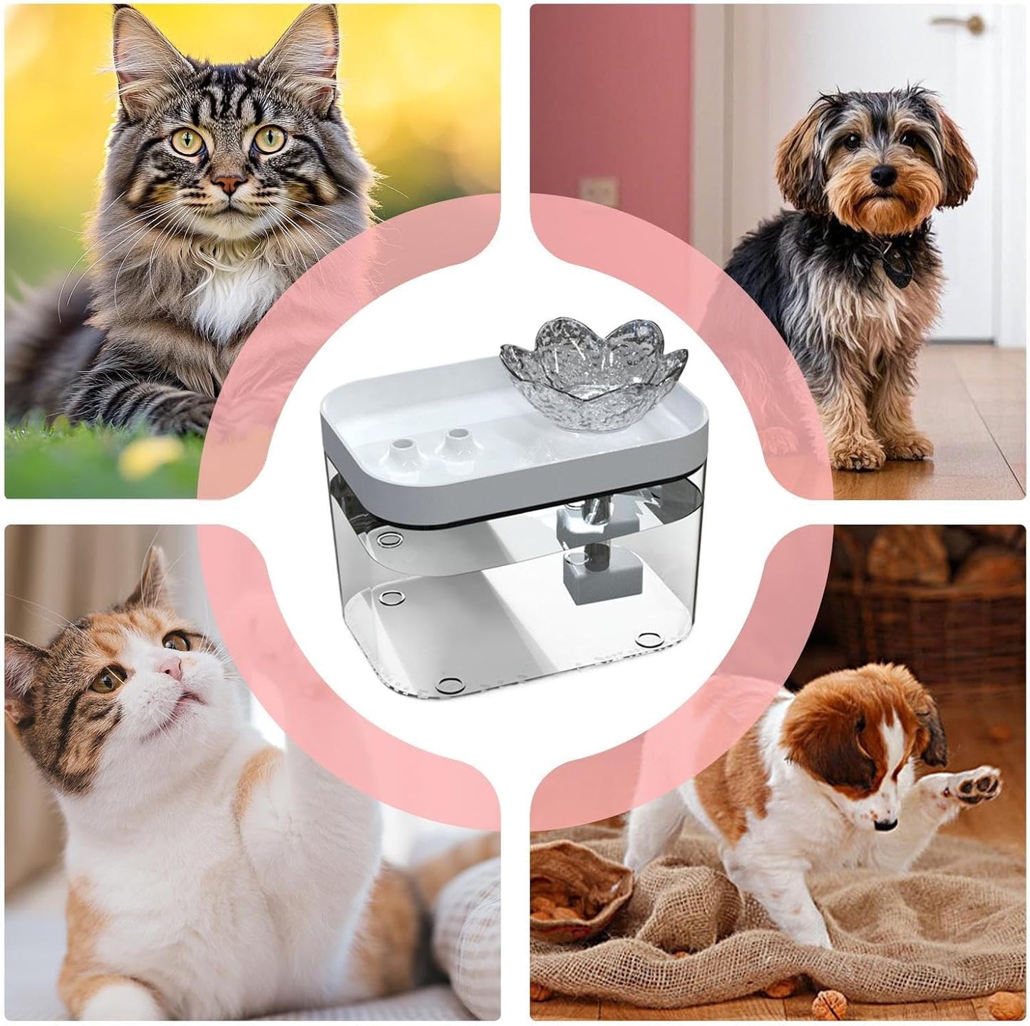 Automatic Cat Water Fountain, USB Rechargeable Filter Dispenser, Silent Pet Drinking Station for Cats, Kittens, Dogs, Indoor Home Use, Promotes Hydration, Easy Maintenance, Quiet