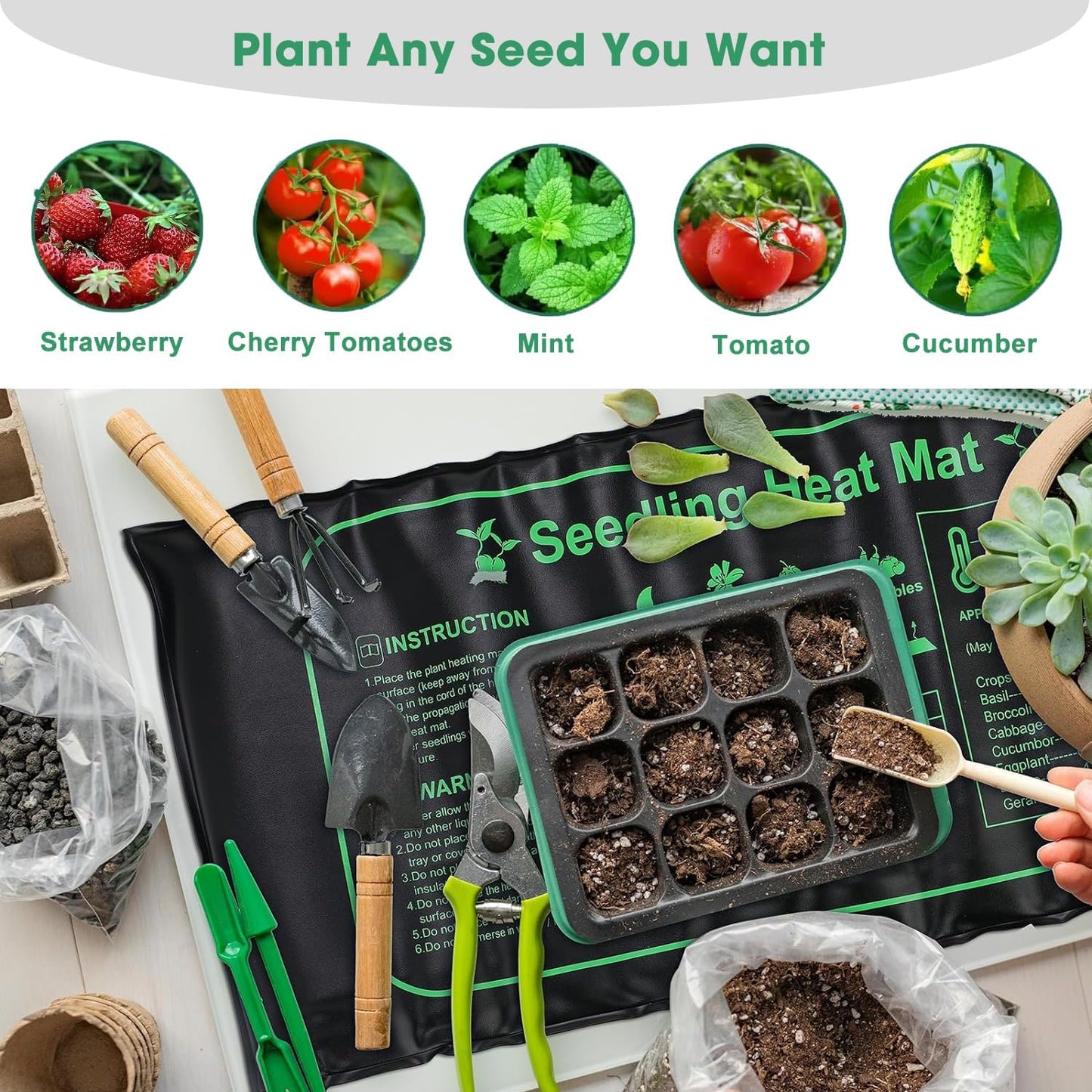 FINEST+ Seed Starter Tray with Heat Mat and Grow Light,5 Pack Seedling Starter Trays with Time Controller,Seedling Starter Tray with Adjustable Brightness,Seed Starting Kit with Adjustable Humidity