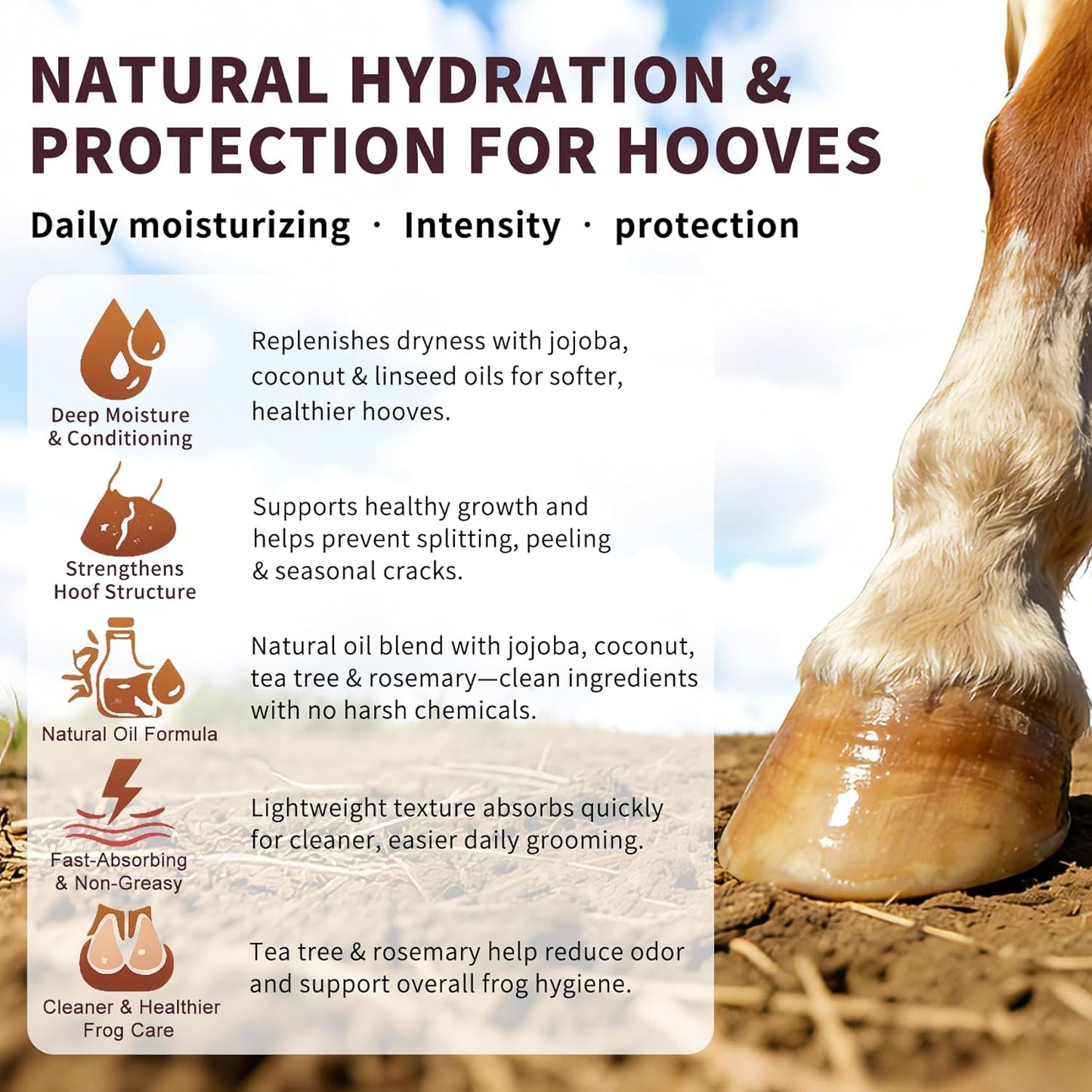 Hoof Oil Spray for Horse – Deep Hydration & Frog Care | Jojoba, Coconut & Tea Tree Formula | Repairs Dry, Cracked, Brittle Hooves & Boosts Natural Shine | 3.38 oz