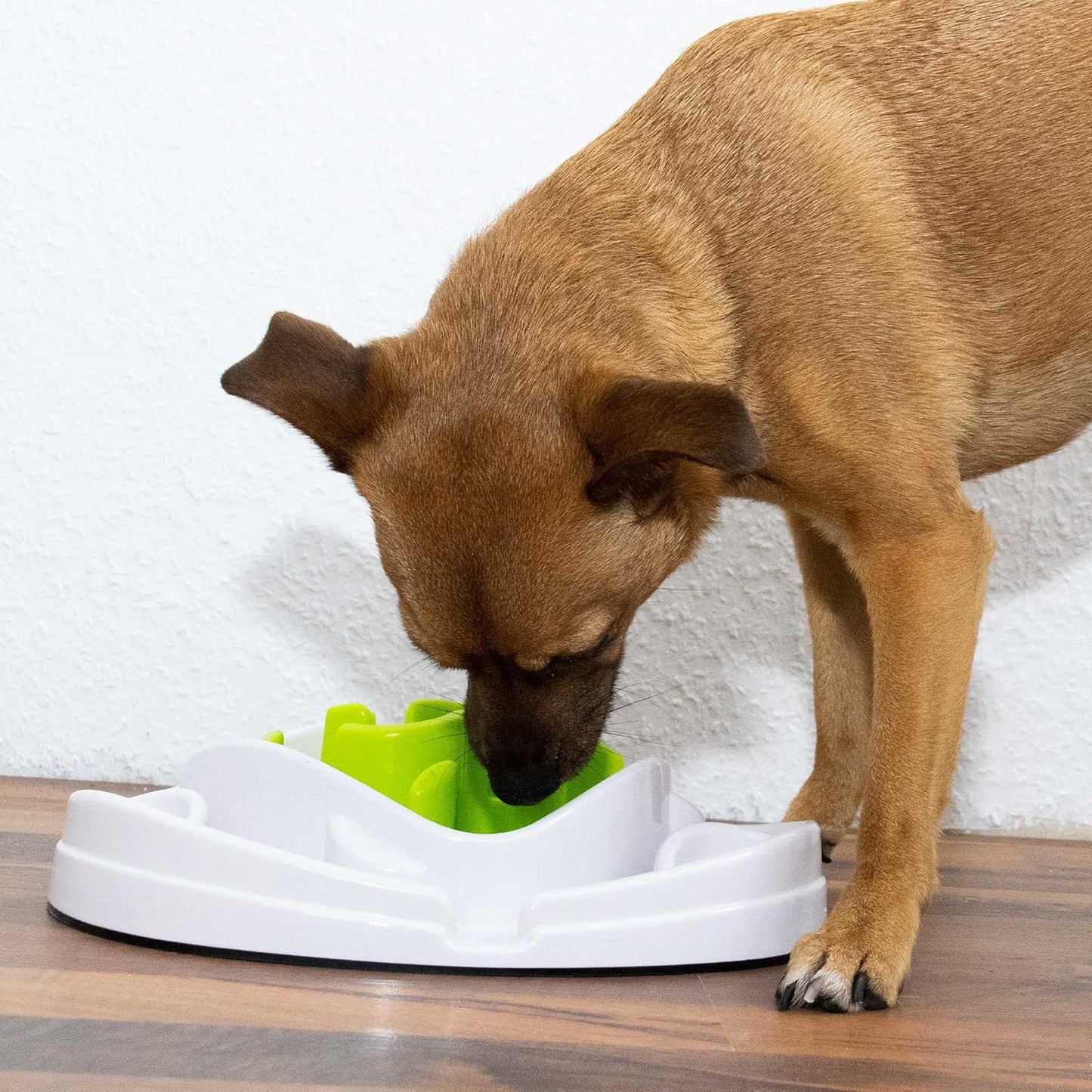 All for Paws Interactives Food Maze Toy for Dogs, 5.45 kg