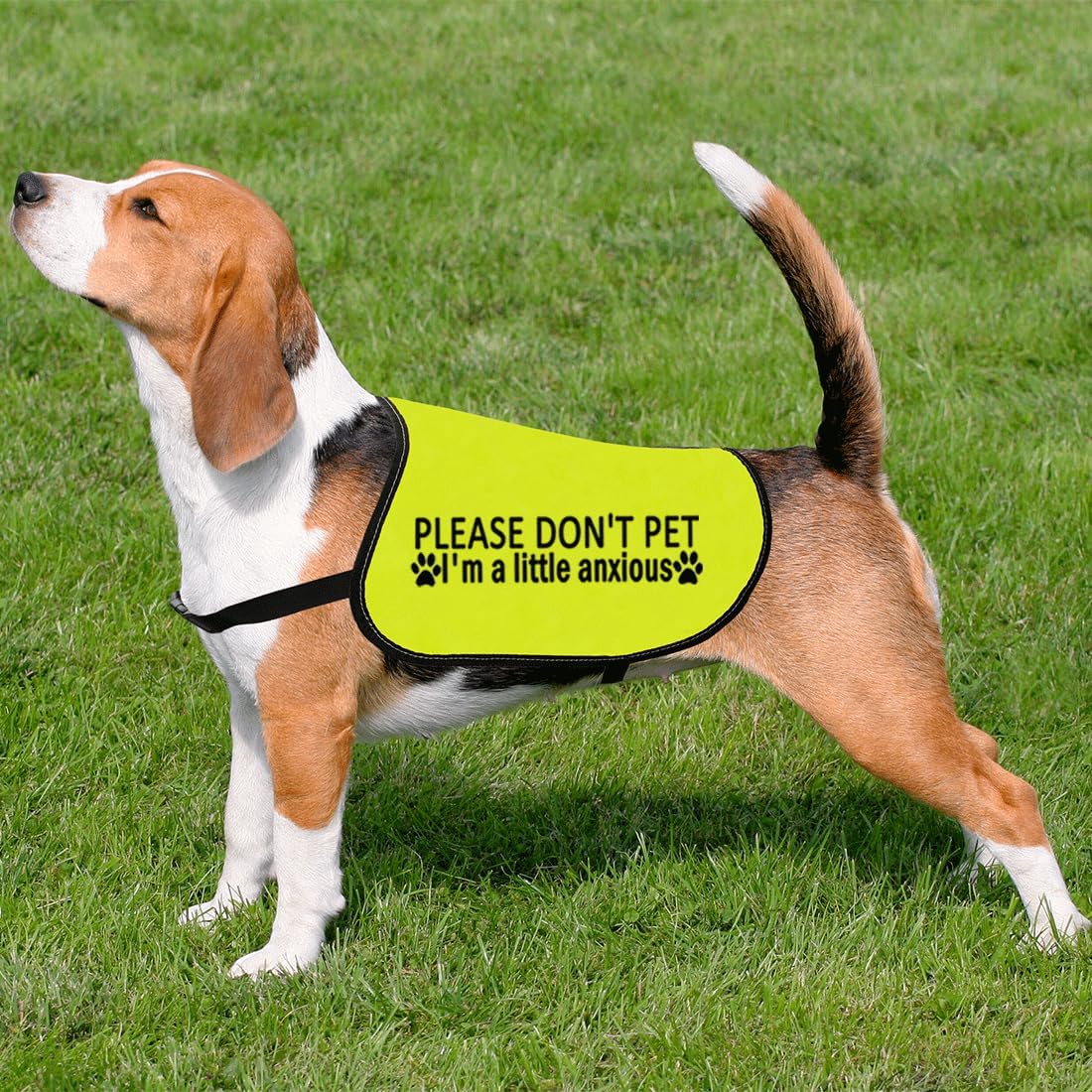 CENWA Please Don’t Pet I'm a Little Anxious Dog Jacket Vest Anxious Dogs Walking Slogan Warning Vest (Little Anxious L)