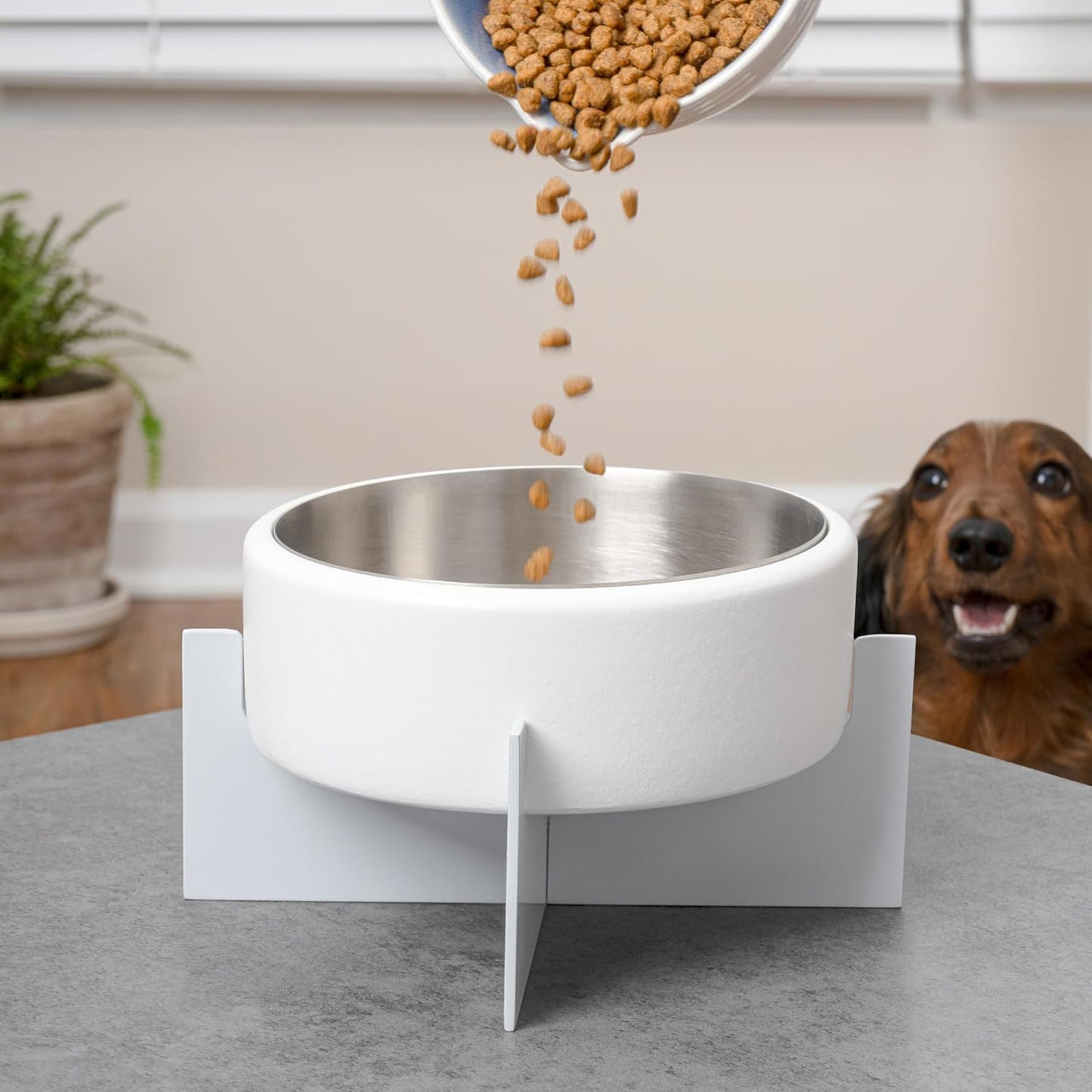 DBL3000B Intersecta Small/Medium Concrete and Stainless Steel Bowl 16oz (2 Cups) with Metal Stand Pet Feeder, White