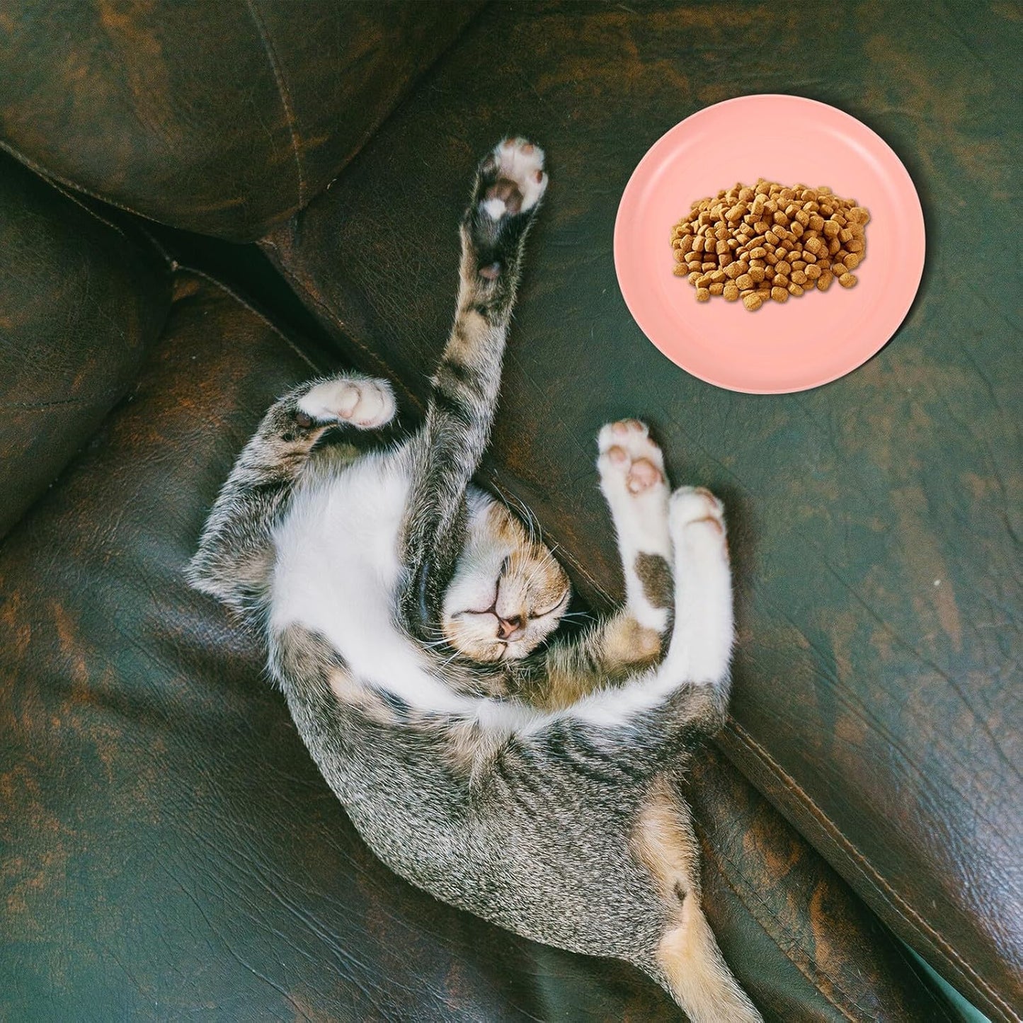 FAVOMOTO 4pcs Round Shallow Cat Food and Water Bowls Set, 15cm Flat Pet Plates for Wet Food, Small Kitten and Short-Legged Cats, Multi-Color Plastic Feeding Dishes for Indoor Use