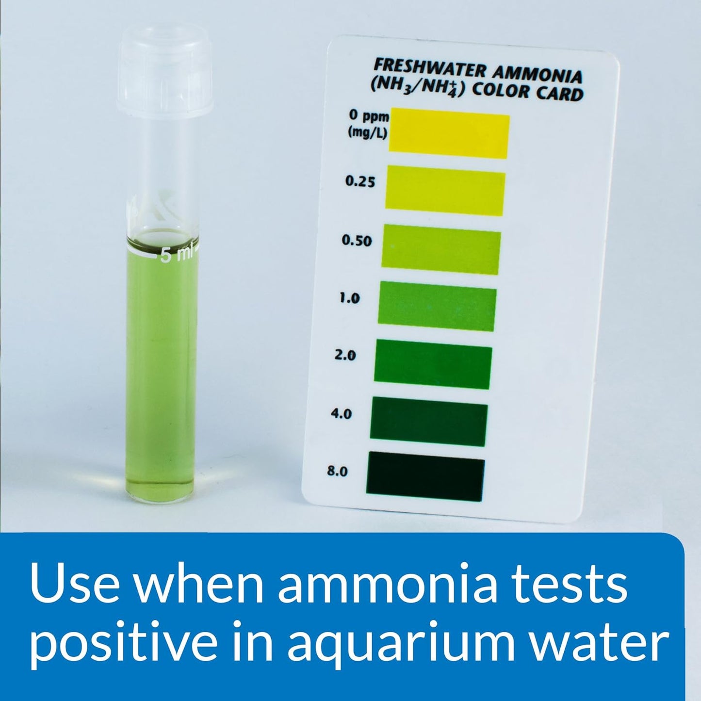 API AMMO-LOCK Freshwater and Saltwater Aquarium Ammonia Detoxifier 16-Ounce Bottle