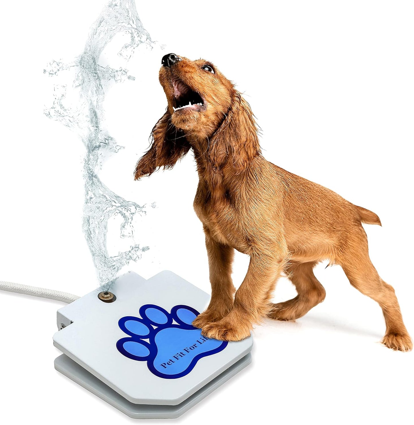 Pet Fit For Life Dog Pedal Water Fountain - Step-On Sprinkler, Drinking Water Hose Toy and Water-Play for Dogs, Includes Giant Tennis Ball