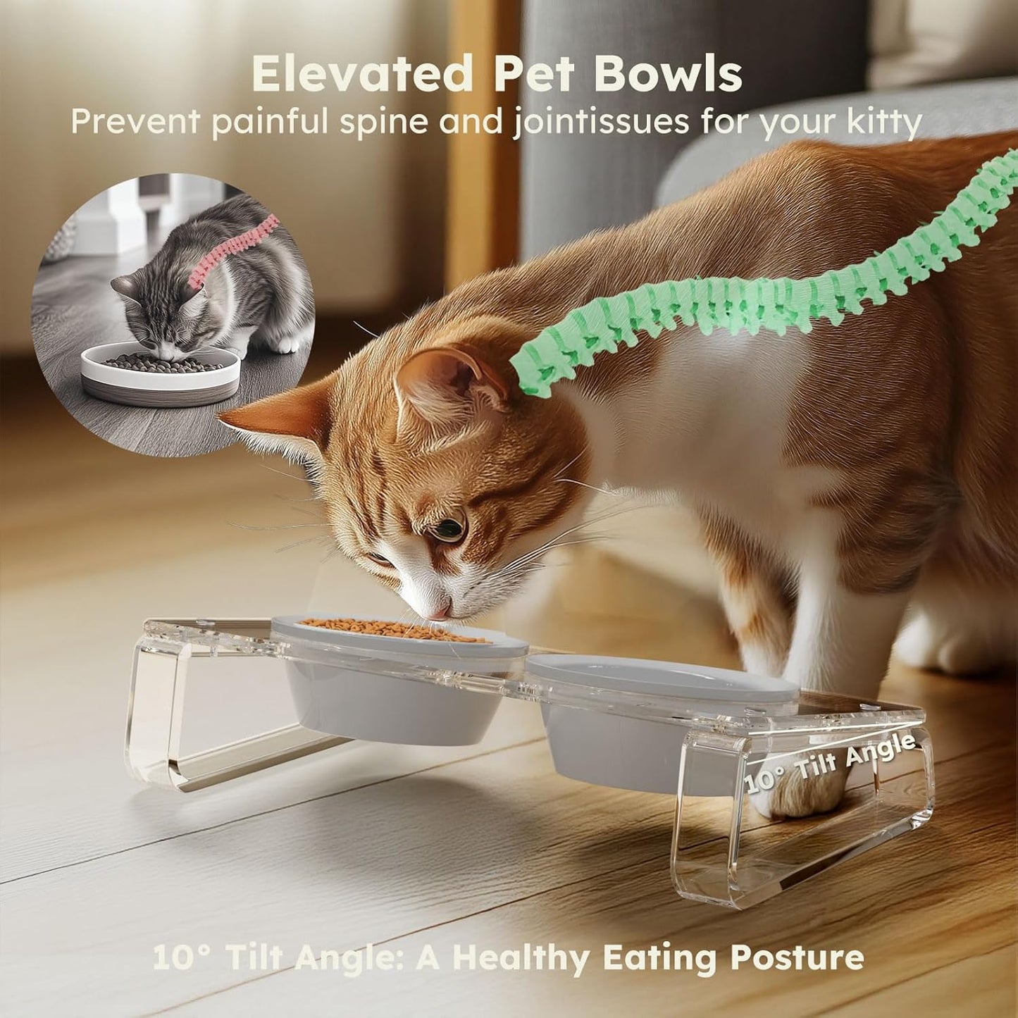 AITEE Elevated Cat Food Bowl, Ceramic Raised and Tilted Water Bowl, Non-Slip Ceramic Dog Bowls for Puppy and Kitten Cats 45.8 OZ