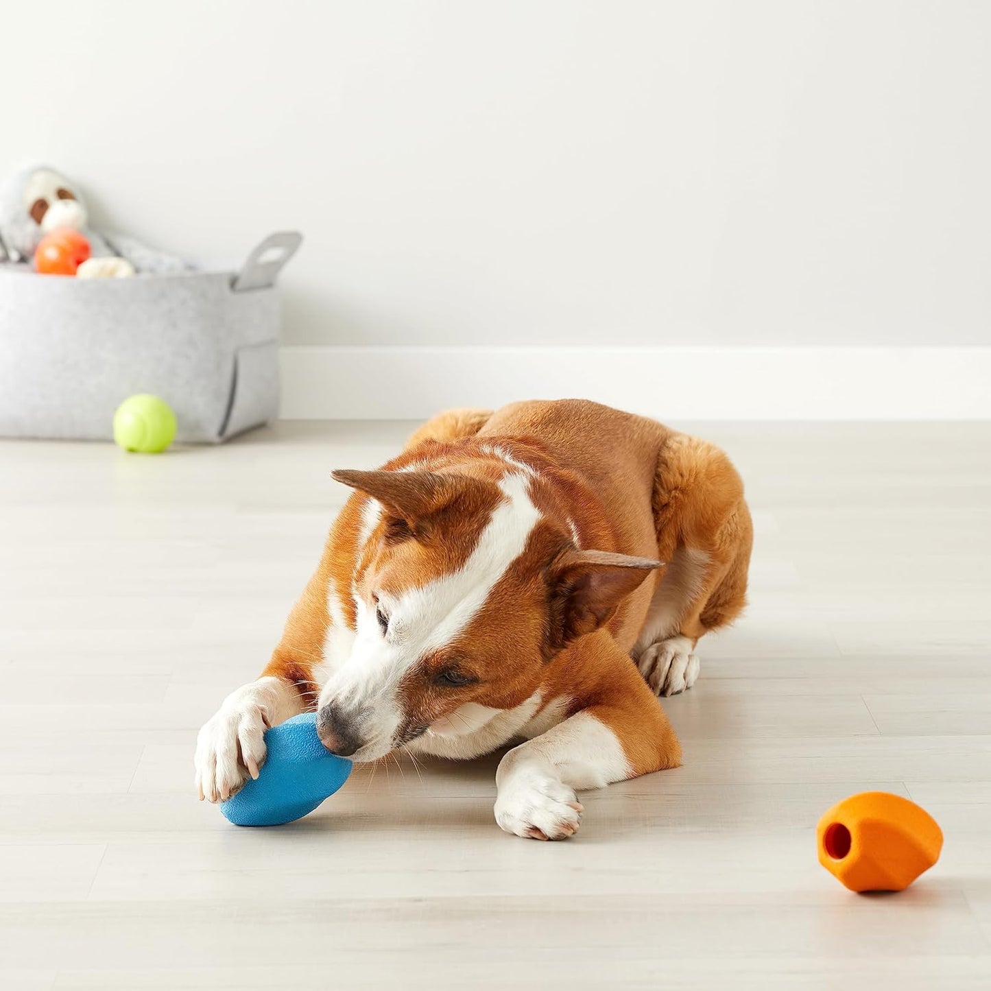 Amazon Basics Interactive Durable Natural Rubber Dog Treat Dispensing Enrichment Chew Toy for Medium Dogs, Multi Color, 2-Pack