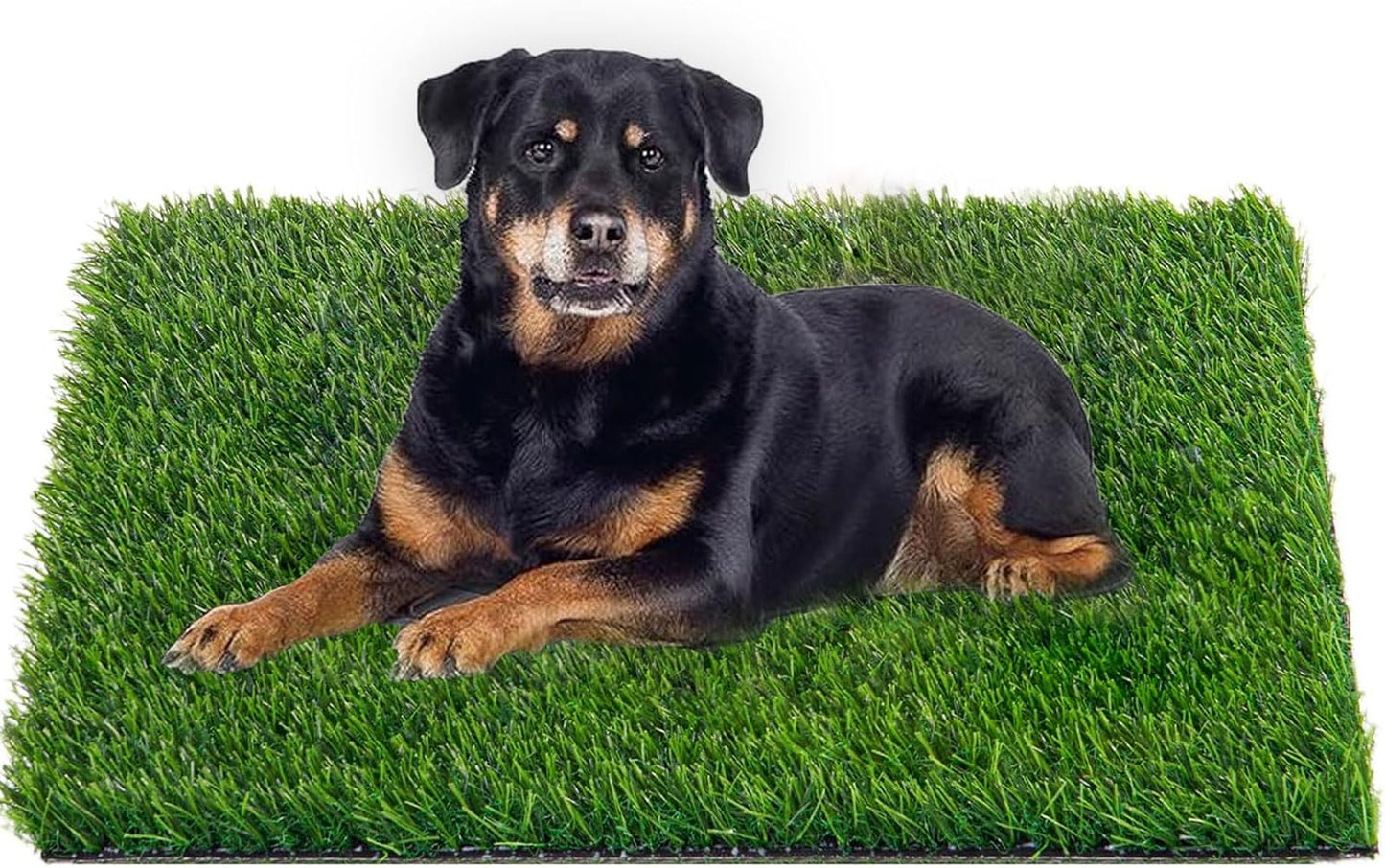 51.1x31.8In Dog Grass Pad, Professional Artificial Grass Pee, Large Fake Grass Potty Training Mat with Drainage Holes, Easy Clean Dog Potty Turf for Indoor Outdoor Balcony Patio