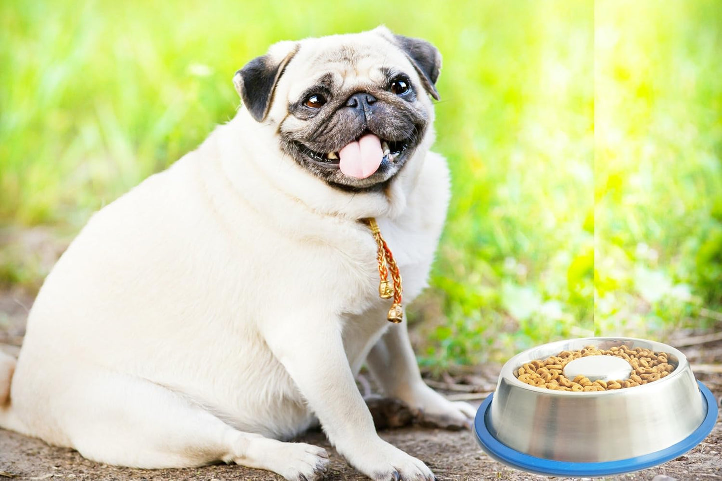 Mr. Peanut's Stainless Steel Interactive Slow Feed Dog Bowl with a Blue Base, Fun Healthy Bloat Stop Feeder (Large)