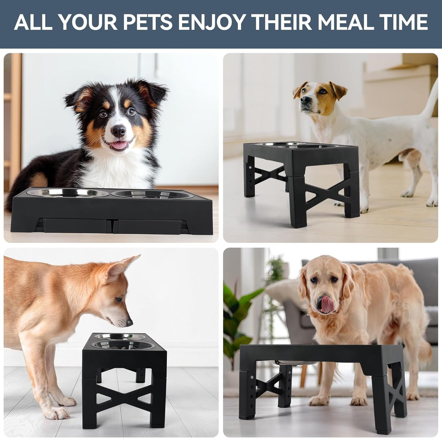 PAWISE Elevated Dog Bowls, Raised Dog Bowl with Slow Feeder Bowl & Stainless Steel Bowls, 5 Heights Adjustable Dog Feeding Bowl Stand for Small Medium Large Dogs, Food Dishes with Non-Slip Feet