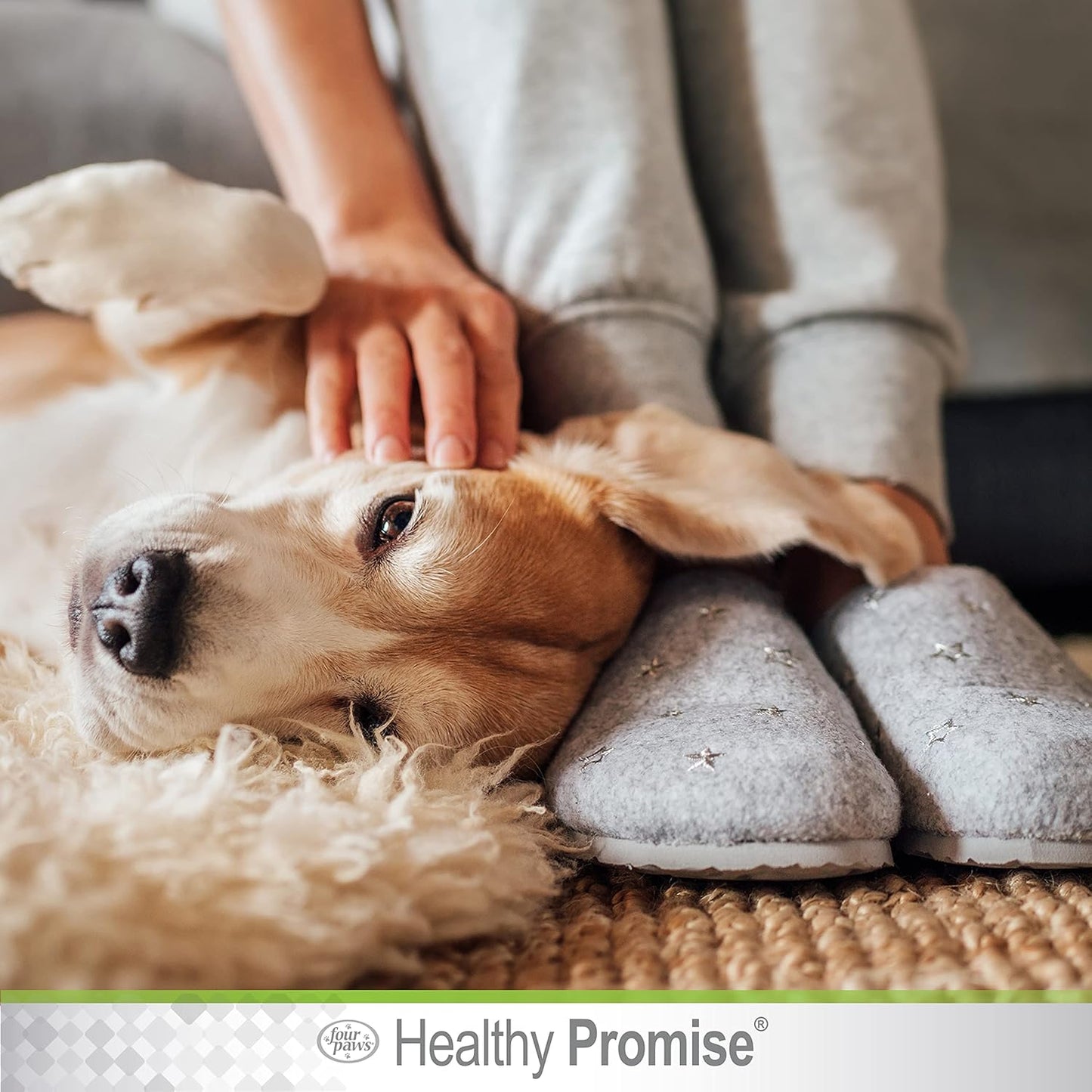 Four Paws Healthy Promise Grooming Soothing Pet Ear Cleaning Wipes, Odor Reducing & Itch Relief, 35 Count
