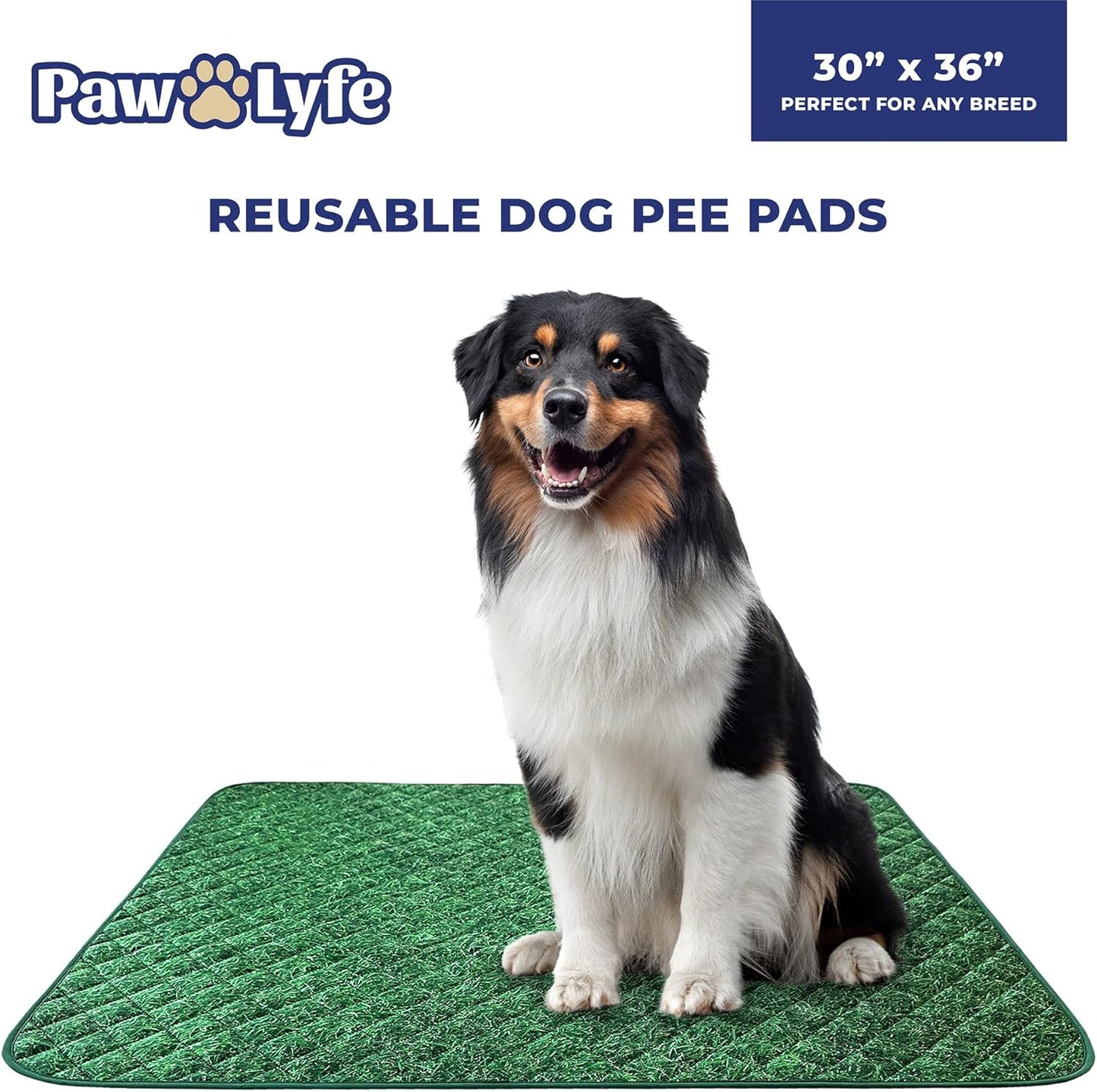 PawLyfe Reusable Pee Pads for Dogs - 2 Pack, 30" x 36" Washable Puppy Pads with Grass Print - Waterproof Dog Training Pee Mats - Non-Slip - Large Pet Pads for Indoors - Quilted Whelping Pads for Home