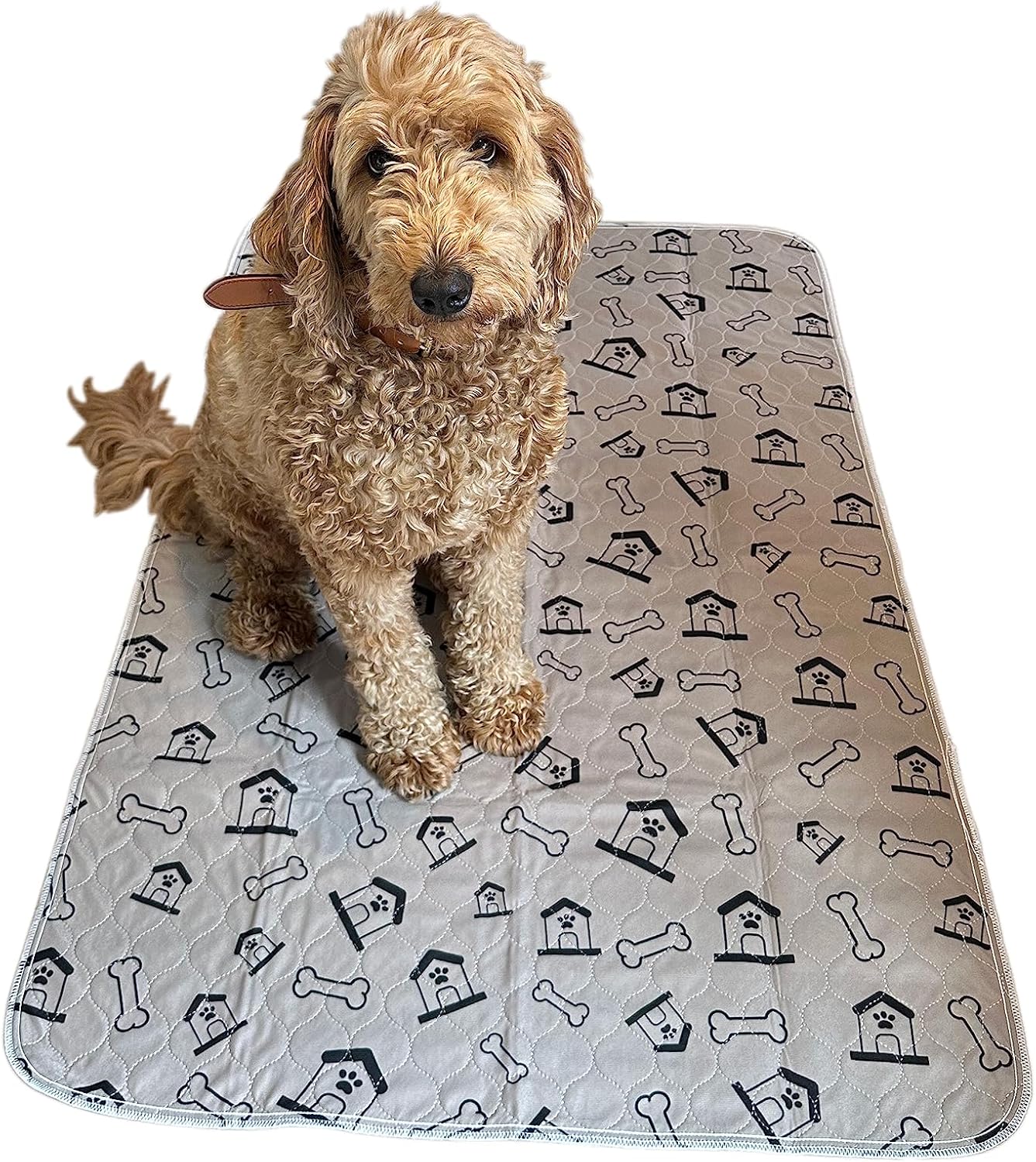 Original Petme Tender Pack of Two Reusable Bath and Pee mat Fast Absorb pad Non Slip for Playpen Crate and After Bath Dry Washable for Medium Dogs (Medium 24 in by 36 in)