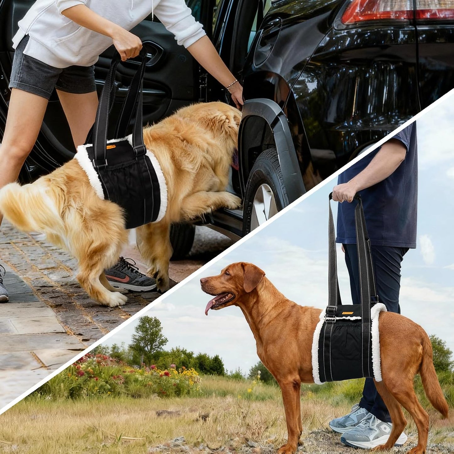 LumoLeaf Dog Lift Harness Sling for Back Legs, Adjustable Rear Leg Support & Mobility Aid, Hip Support for Senior/Disabled Dogs, Soft Fleece Lining, Padded Handles, for CCL/ACL Surgery (Black, Large)