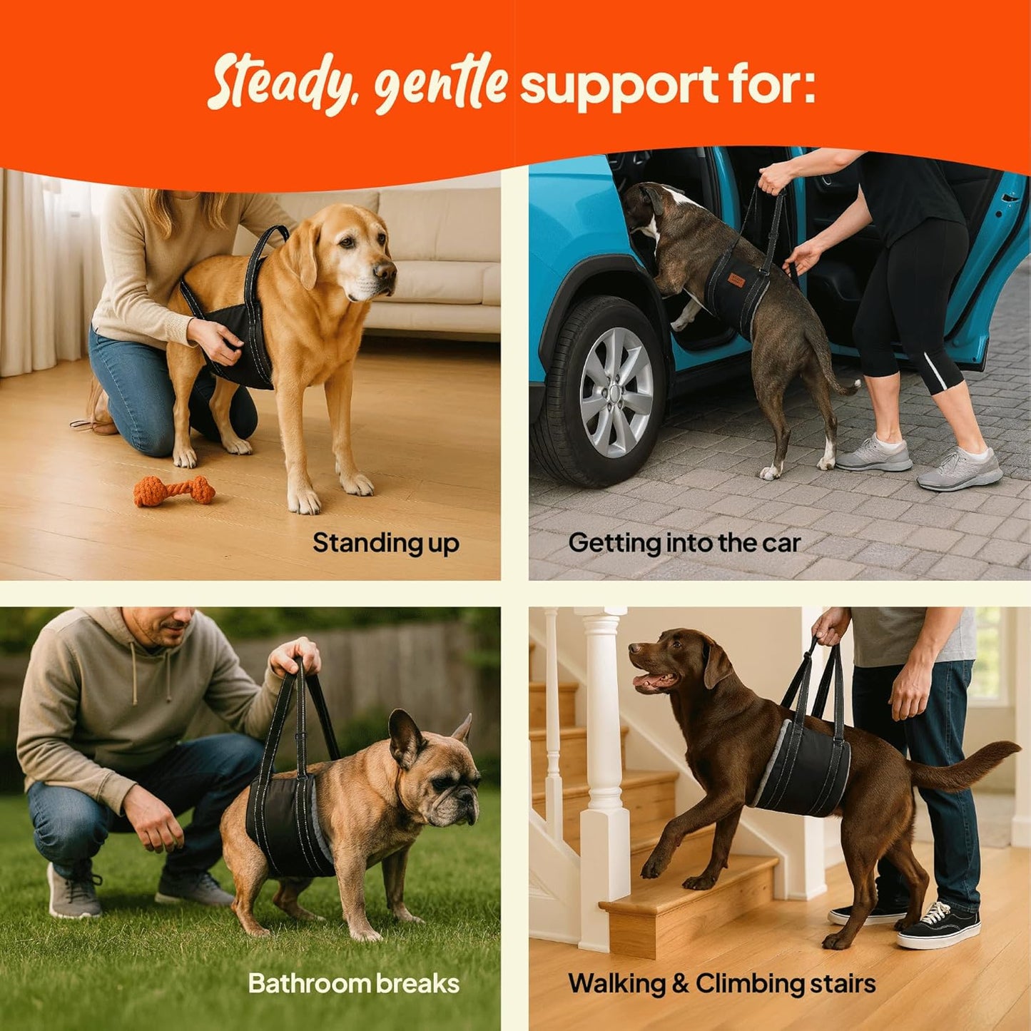 Dog Lifting Harness - Mobility Sling for Weak Back Legs - Rear Support with Soft Fleece Pad, Adjustable Straps & Padded Handle for Recovery & Senior Dogs - Machine Washable (Size S)