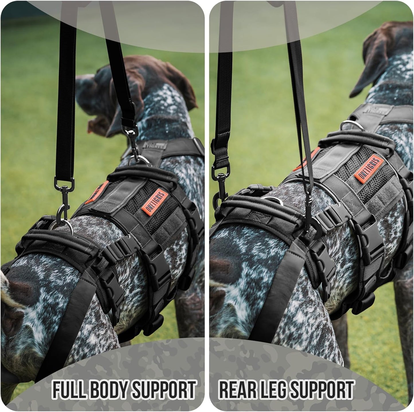 OneTigris Breathable Dog Lift Harness for Large Medium Sized Dogs, Dog Sing for Large Dogs Hind Leg Support, Dog Hip Support Brace Front Leg Vrace