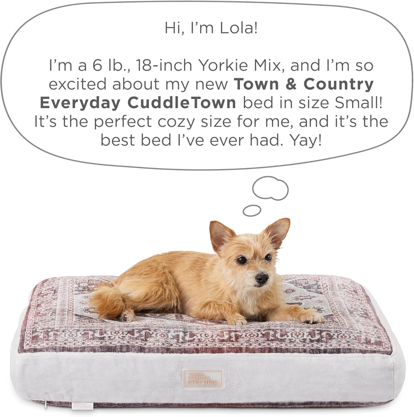Town & Country Everyday CuddleTown Medallion Everwash® Pillow Pet Bed, Water Repellent Floor Pillow, Machine Washable Cover, Soft & Calming, Red/Greige, Small 28"x22"x4"