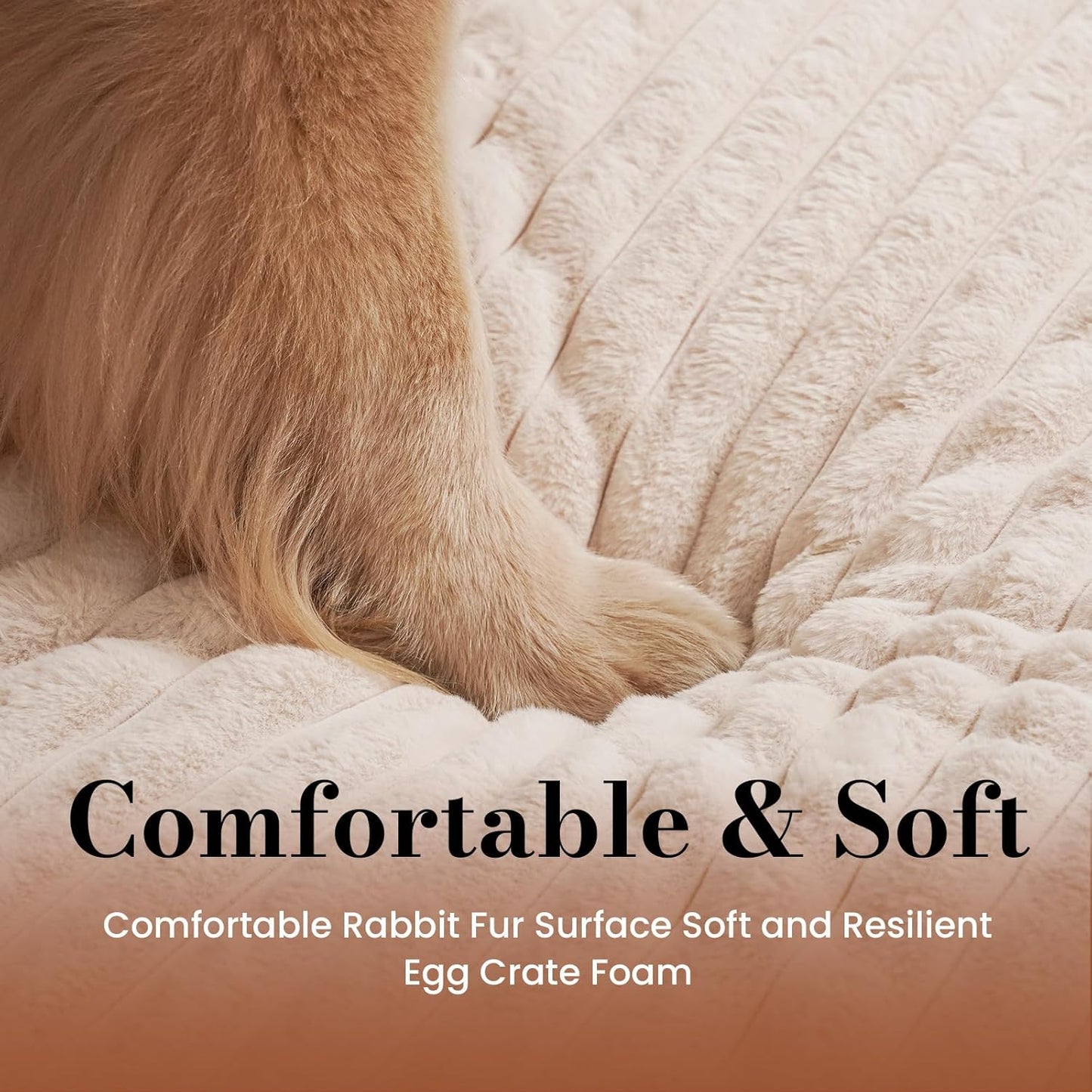 Orthopedic Dog Bed Medium Size Dog, Pet Beds with Waterproof Lining, Soft Short Plush Surface & Egg Crate Foam, Machine Washable Pet Mat with Removable Cover & Anti Slip Bottom