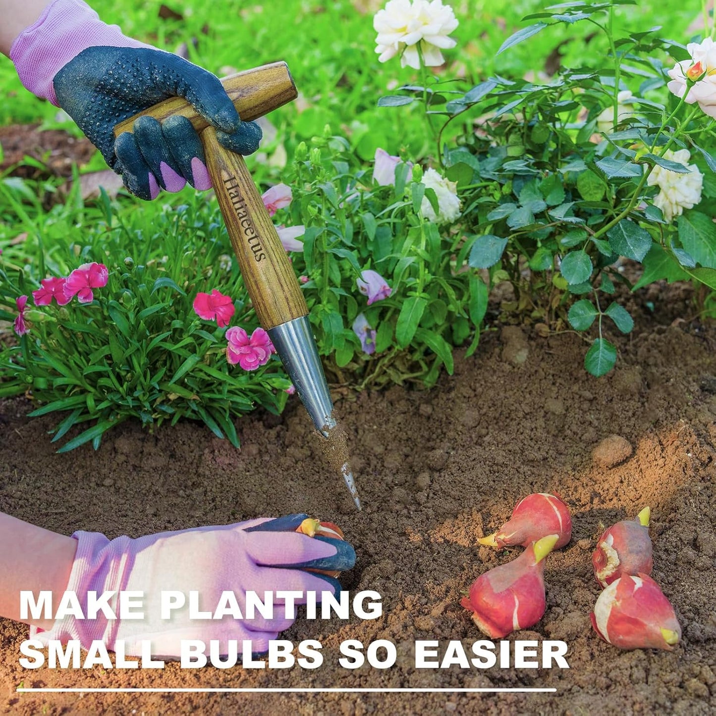 Haliaeetus Dibber Garden Tool, Stamped Stainless Steel Tip Seed Dibber, Smooth Splinter-Free T-Shape Wood Handle Dibbler with Comfortable Grip, 11'' Dibber for Planting Seed and Transplanting Seedling