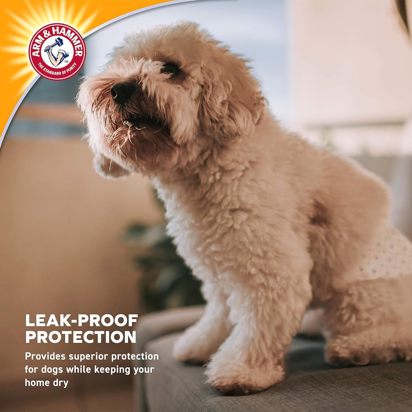 Arm & Hammer Small Male Dog Wraps, Disposable Belly Band Diapers with Baking Soda Odor Control, Super Absorbent Leak Resistant Design for Marking and Incontinence, 12-19 Inch Waist, 12 Count