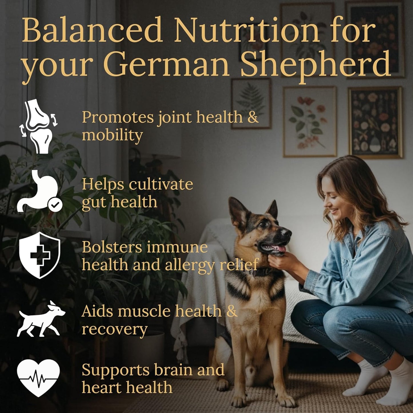 Multivitamins, Balanced Nutrition for Your German Shepherd, 90 Count, Made in The USA with Real Bacon