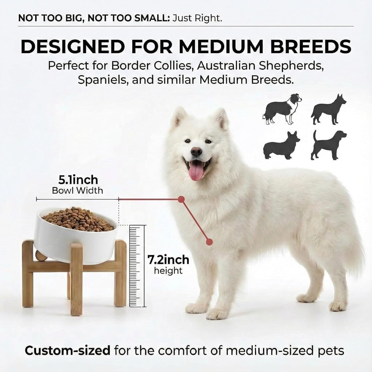 hjn Elevated Ceramic Dog Bowl 15°Slanted Raised Dog Bowl with Bamboo Stand for Small Medium Dogs and Cats, Pet Feeder -3.6-Cup (850ml)-White