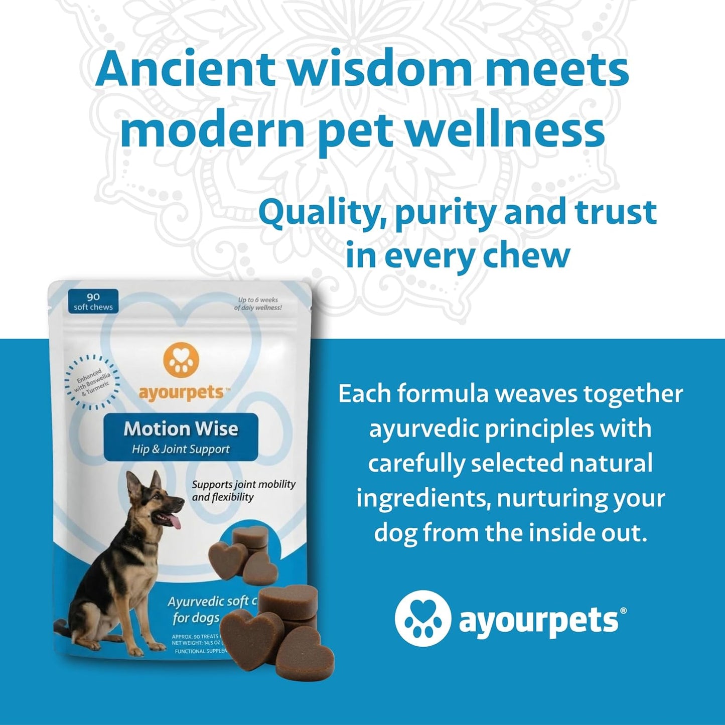 Motion Wise Mobility Support Soft Chews for Dogs – Ayurveda-Inspired Botanical Joint Comfort & Daily Movement Support – Made with Real Pork – for All Breeds & Sizes – 90 Count