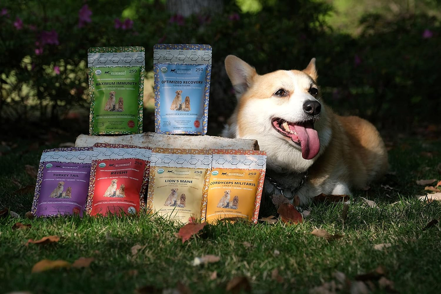 Maximum Immunity >25% β-glucan 100% Mushrooms Fruiting Body Extracts, Veterinarian Recipe for Dogs & Cats Immune, Digestive, Vitamins, Probiotics, with Turkey Tail, Reishi extracts.250 Servings