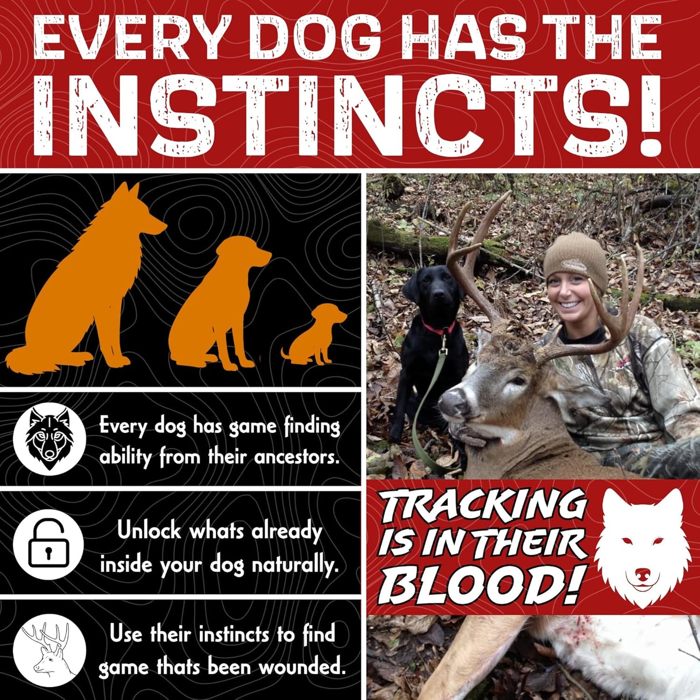 DogBone Tracking Dog Training System to Train Your Dog to Track Wounded Deer | Dog Training Kit | Hunting Dog Accessories | Dog Scent Training Kit | Deer Hunting Accessories | Dog Training Tools