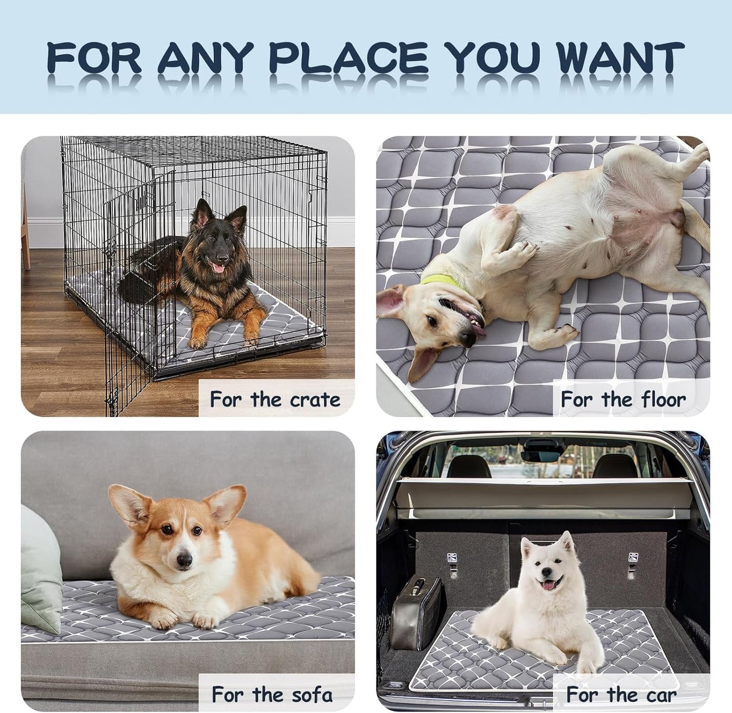 Bubble bear Dog Crate Pad - Ultra Soft, Washable Crate Mat, Anti-Slip Kennel Pad for Small/Medium/Large Dogs, Dark-Hued to Hide Stains (36"x23")