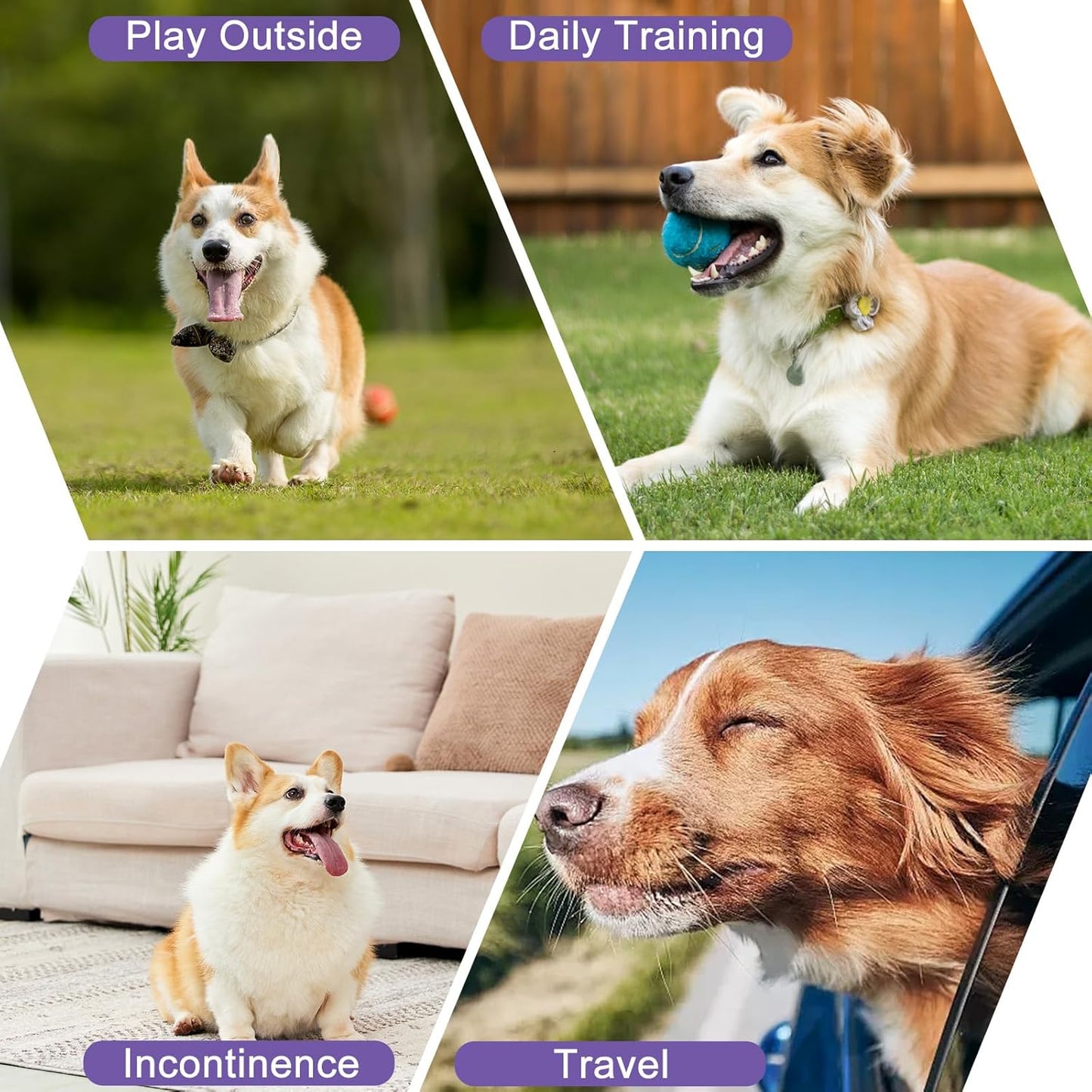 Female Dog Diapers Reusable No Tail Hole Period Panties Washable 3 Pack Diapers Female for Docked-Tail Frenchie French Bulldog Boston Terrier Without Tail U-WWD03L